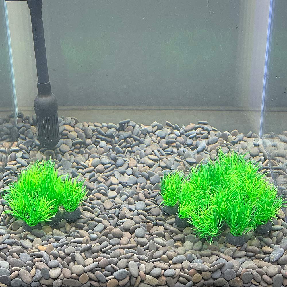 Smoothedo-Pets Aquarium Plants Fish Tank Decorations 20Pcs Small Size/1Inch Tall Plastic Artificial Plant Goldfish Waterscape Fish Hides Mini Grass Set (Green-C)