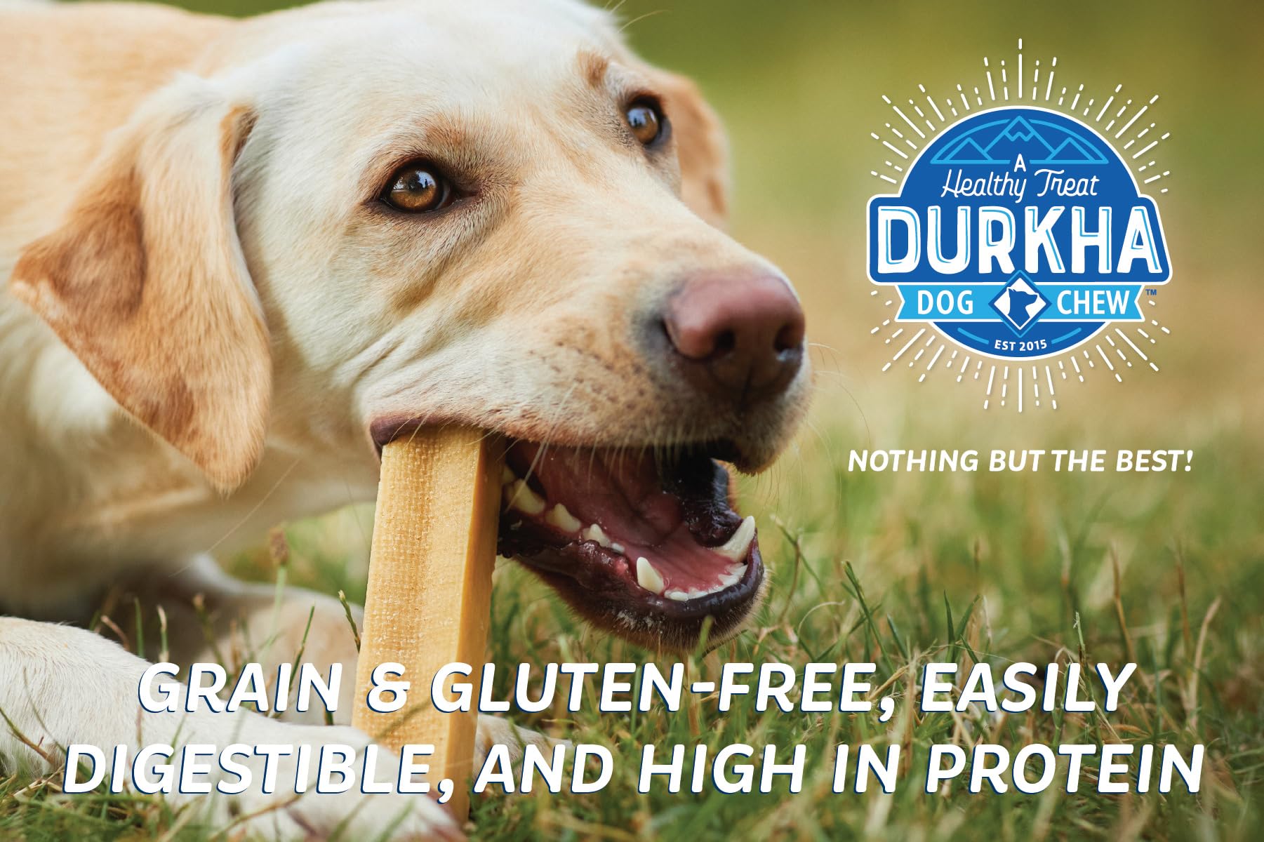 Durkha Yak Cheese Chews: Himalayan Yak Cheese Dog Chews- Natural, Healthy & Long Lasting Dog Treats - Grain, Gluten & Lactose-Fr