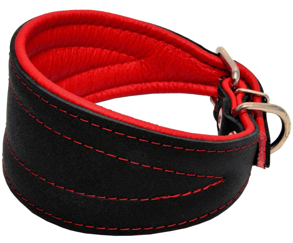 Real Leather Extra Wide Padded Tapered Dog Collar Glossy Black Greyhound Saluki Deerhound Lurcher Whippet Dachshund (8''-9.25'' 