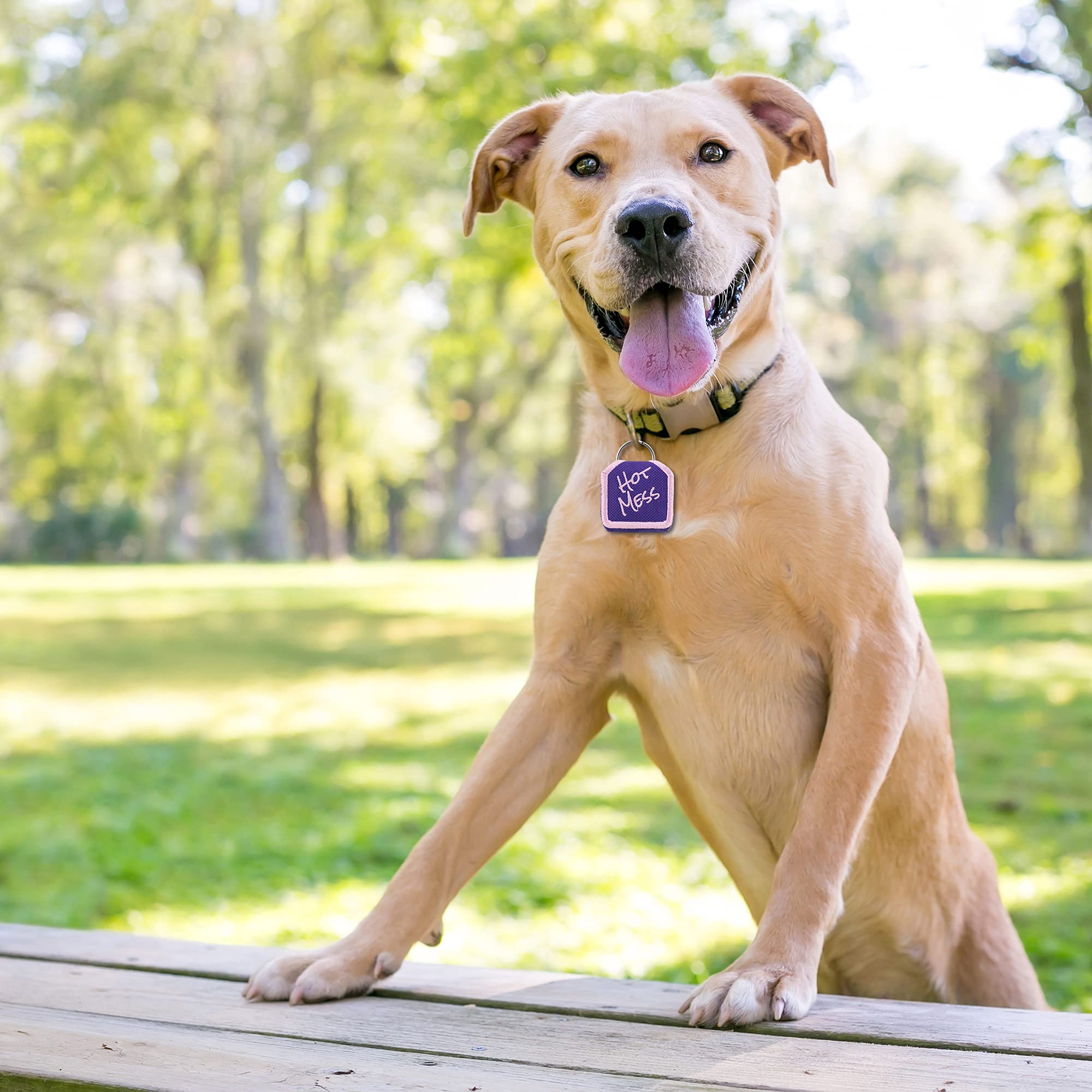 Dog Life Outfitters The Tag Bag - Dog Tag Silencer - Hot Mess