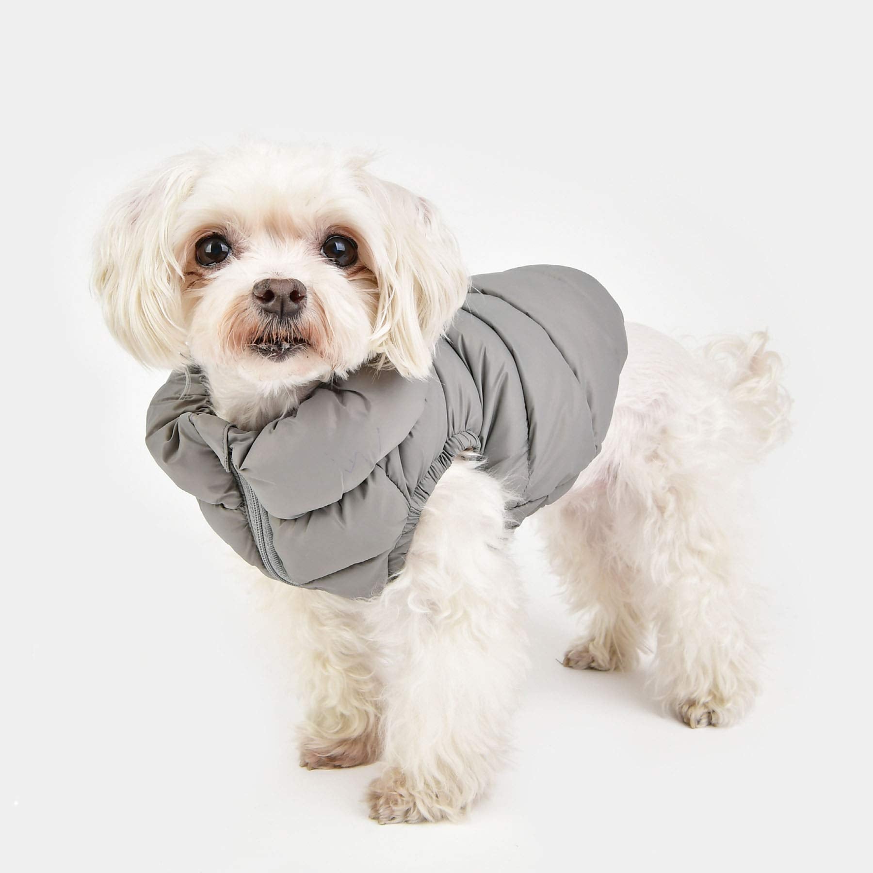 Puppia Winter Ultralight Dog Coat A Waterproof Warmth For Cold Weather Zipper Closure For Small And Medium Dogs, Grey, Small