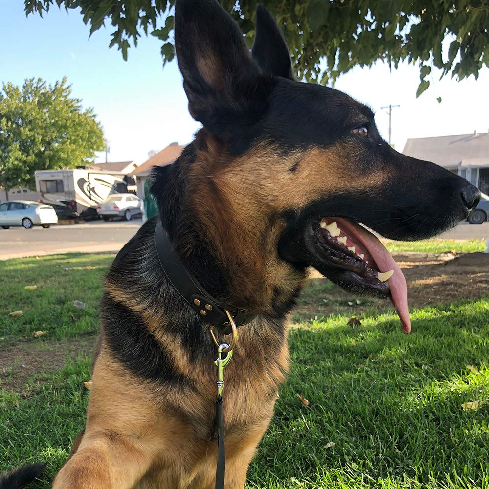 Daihaqiko Leather Dog Collar, Heavy Duty, Wide, For Large Dog, Single Stitch - Brown