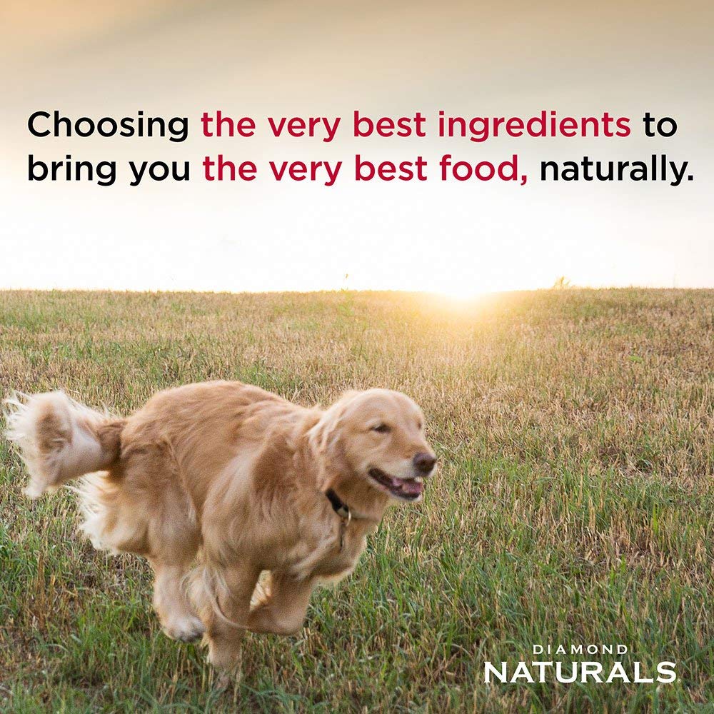 Diamond Naturals Large Breed Puppy Real Lamb Recipe Premium Dry Dog Food, 6 lb