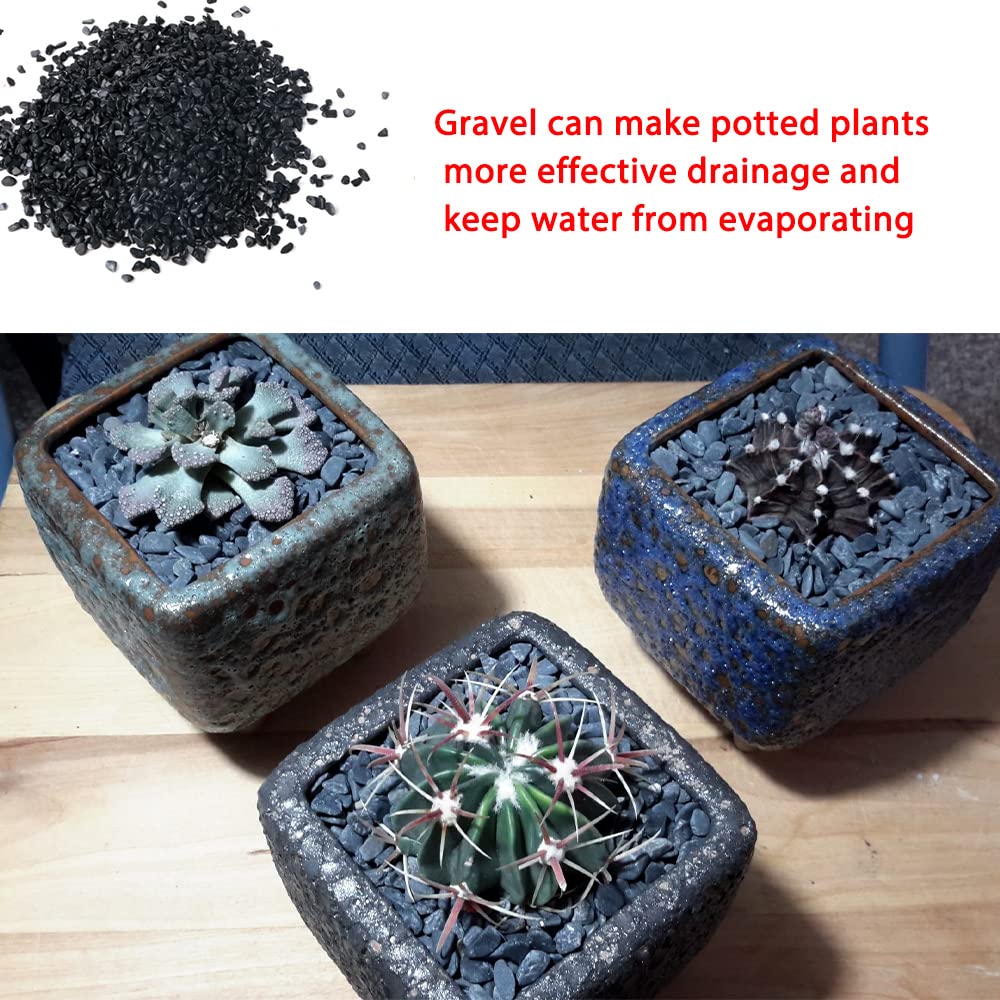 Avalution3 6-9 Mm Natural Black Gravel 3Lb, Polished Stone Succulent Plant Bonsai Stone Diy Plant Rock For Garden Outdoor & Indo