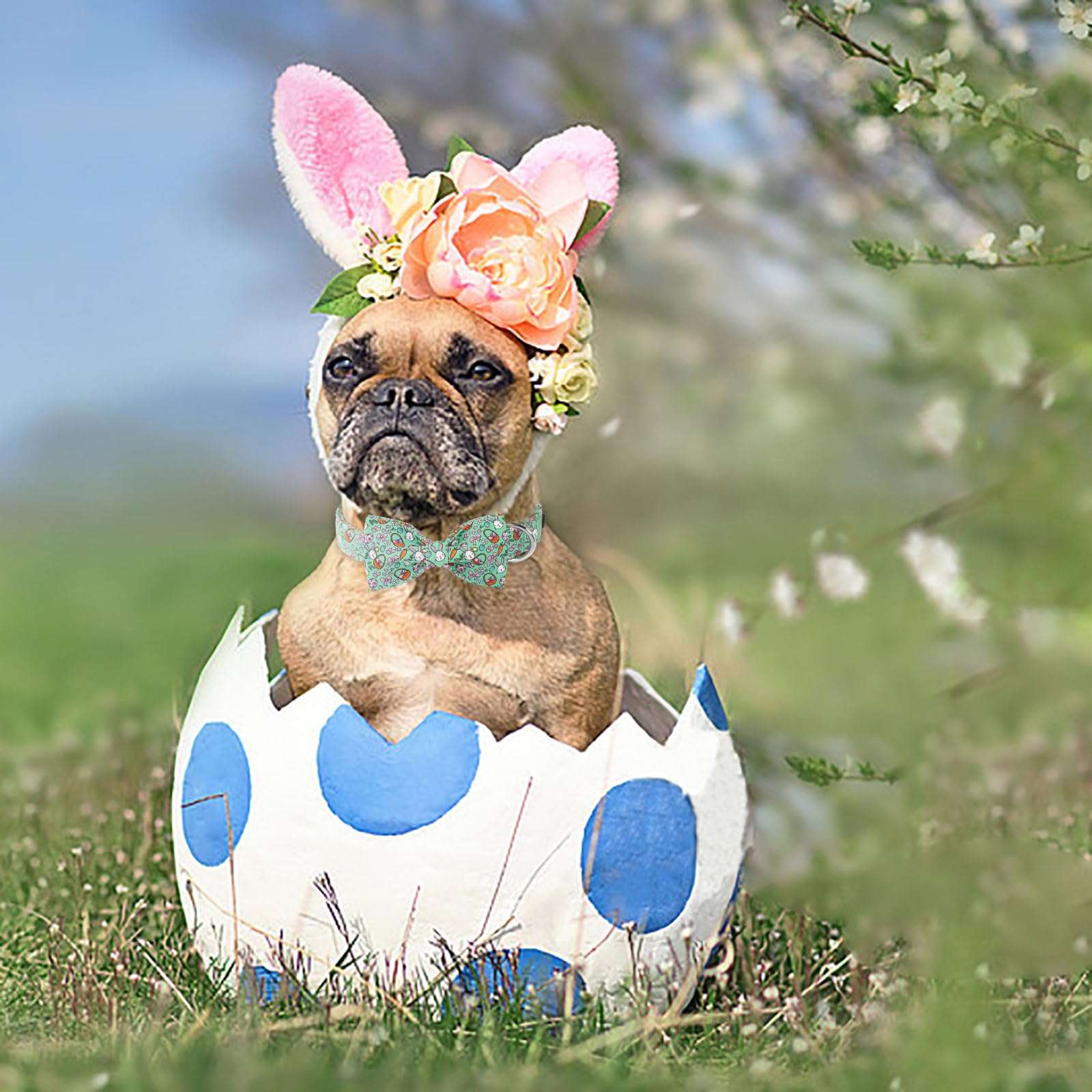 Lionet Paws Easter Dog Collar,Green Eggs Dog Collar For Large Dogs Bowtie, Adjustable Cotton Rabbit Bowtie Pet Collars For Mediu