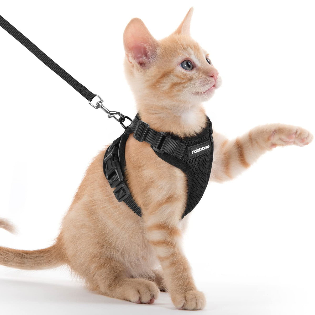 Rabbitgoo Cat Harness And Leash For Walking, Escape Proof Soft Adjustable Vest Harnesses For Cats, Easy Control Breathable Reflective Strips Jacket, Black, Xxs