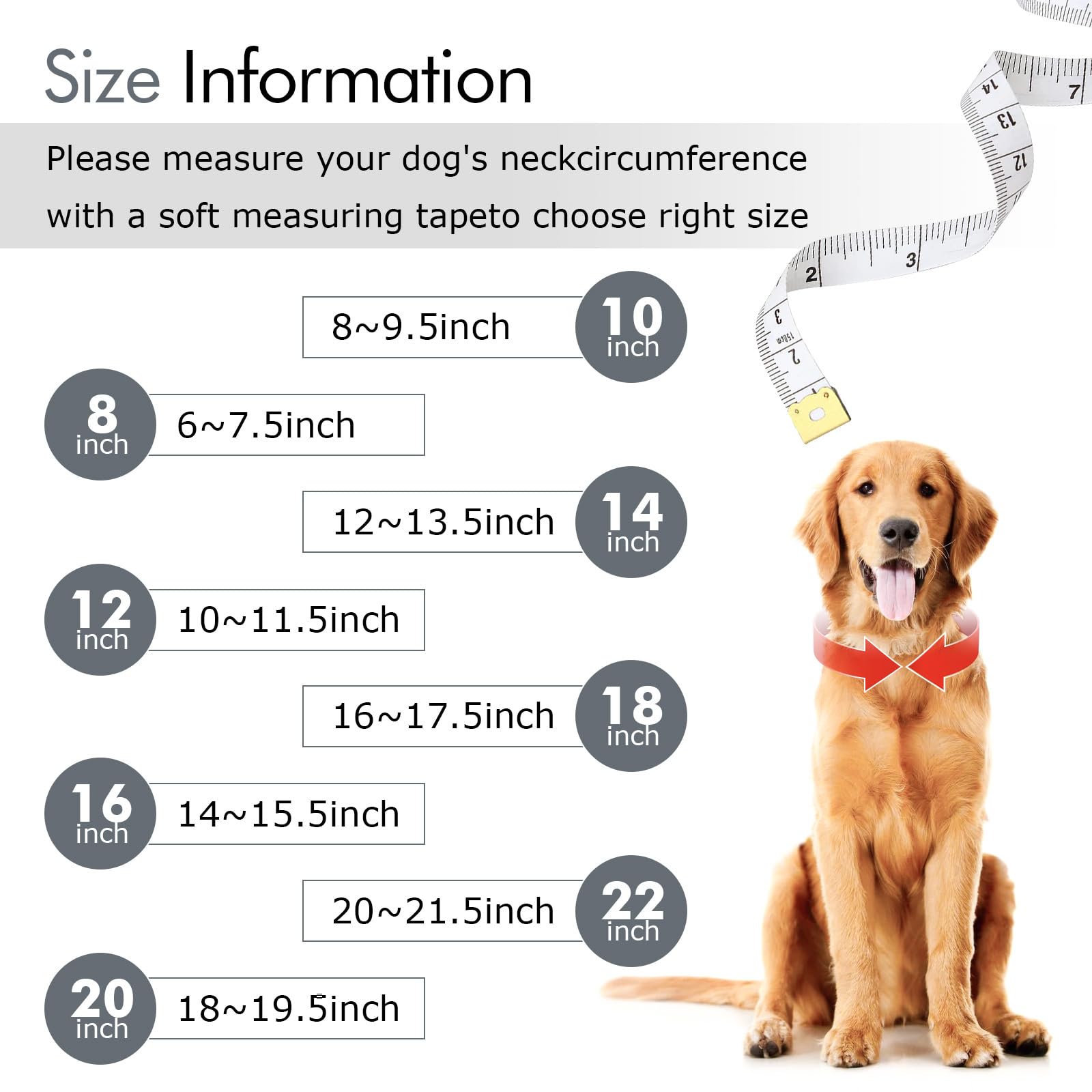 Cuban Link Silver Dog Chain Collar Design Secure Buckle Crystal Necklace Metal Jewelry Accessories For S M Small Medium Large Pe