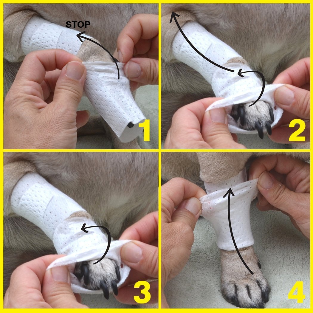 Pawflex Bandages Protective Covers for Pets (Pack of 3) XLarge