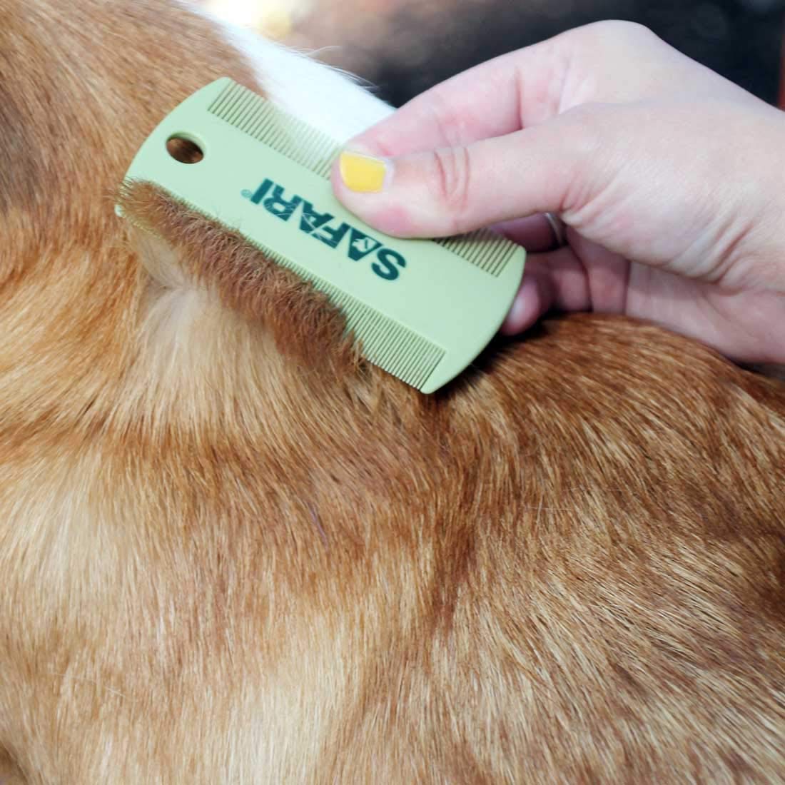 Safari Pet Products (5 Pack) Plastic Flea Comb - Assorted