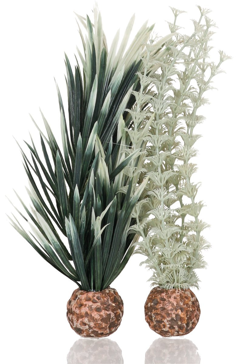 Biorb Small Ambulia Plant Set, Colorful And Durable Aquarium Decorations, Gray-Green