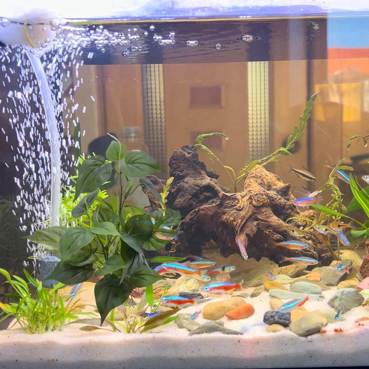 M2Cbridge Artificial Fish Tank Plants Silk Aquarium Plant Aquatic Water Grass Foreground Decor (1Pc Green)