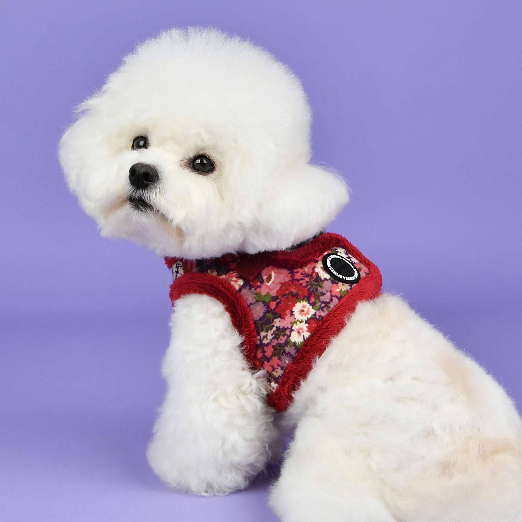 Puppia Gianni Vest Dog Harness Step-In Warm Winter Flower Pattern For Small And Medium Dog, Wine, X-Large