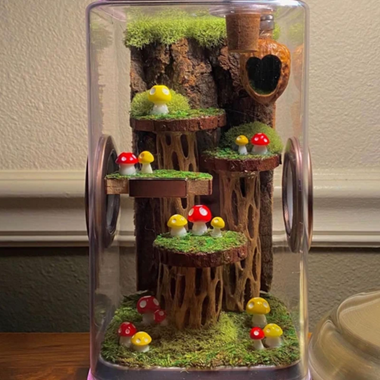 Daerky Walnut Skin Spider Shelter - Magnetic Jumping Spider Habitat, Handmade Enclosure