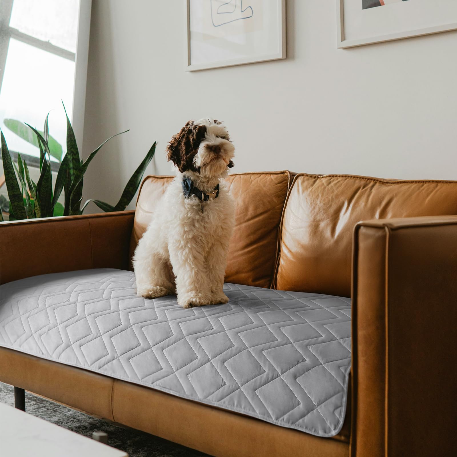Moonsea Waterproof Couch Cover for Dogs Antislip Washable Blanket Bed Cover Pet Sofa Couch Furniture Protector Cover for Kids Ch