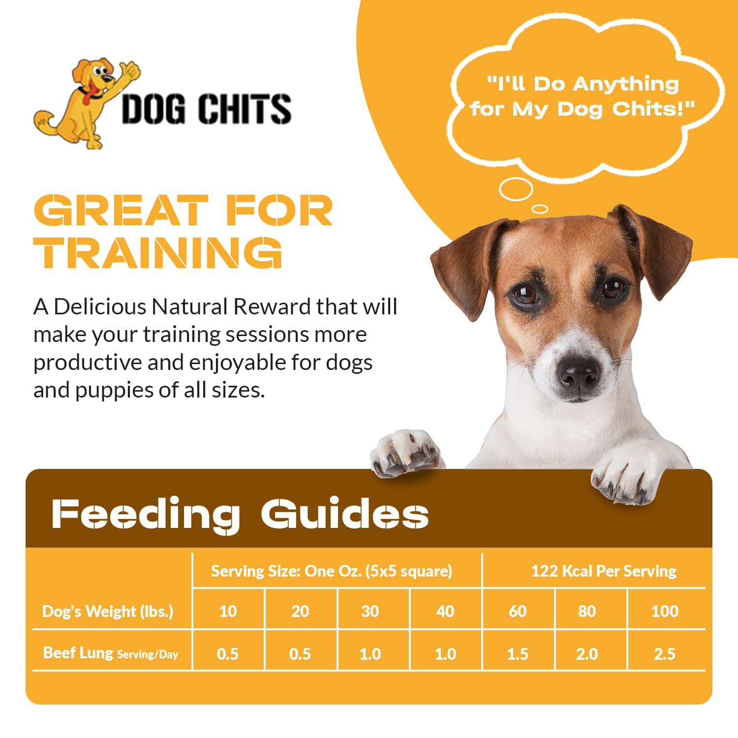 Dog Chits Beef Lung Fillets Dog and Puppy Treats - New! - All Natural Grain and Chemical Free Training Chews - High Protein and
