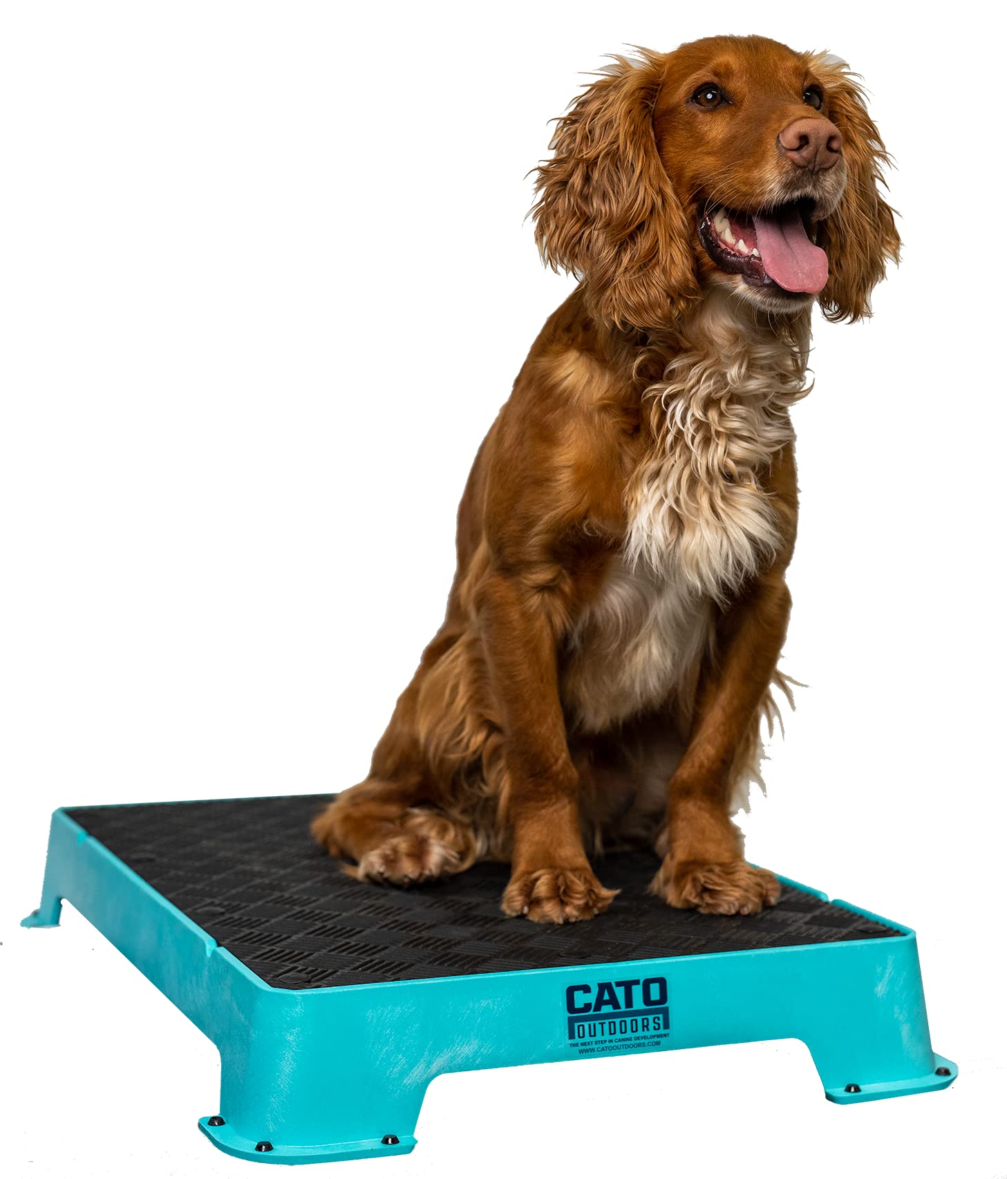 Cato Board - Dog Training Platform (Teal, Rubber Surface)