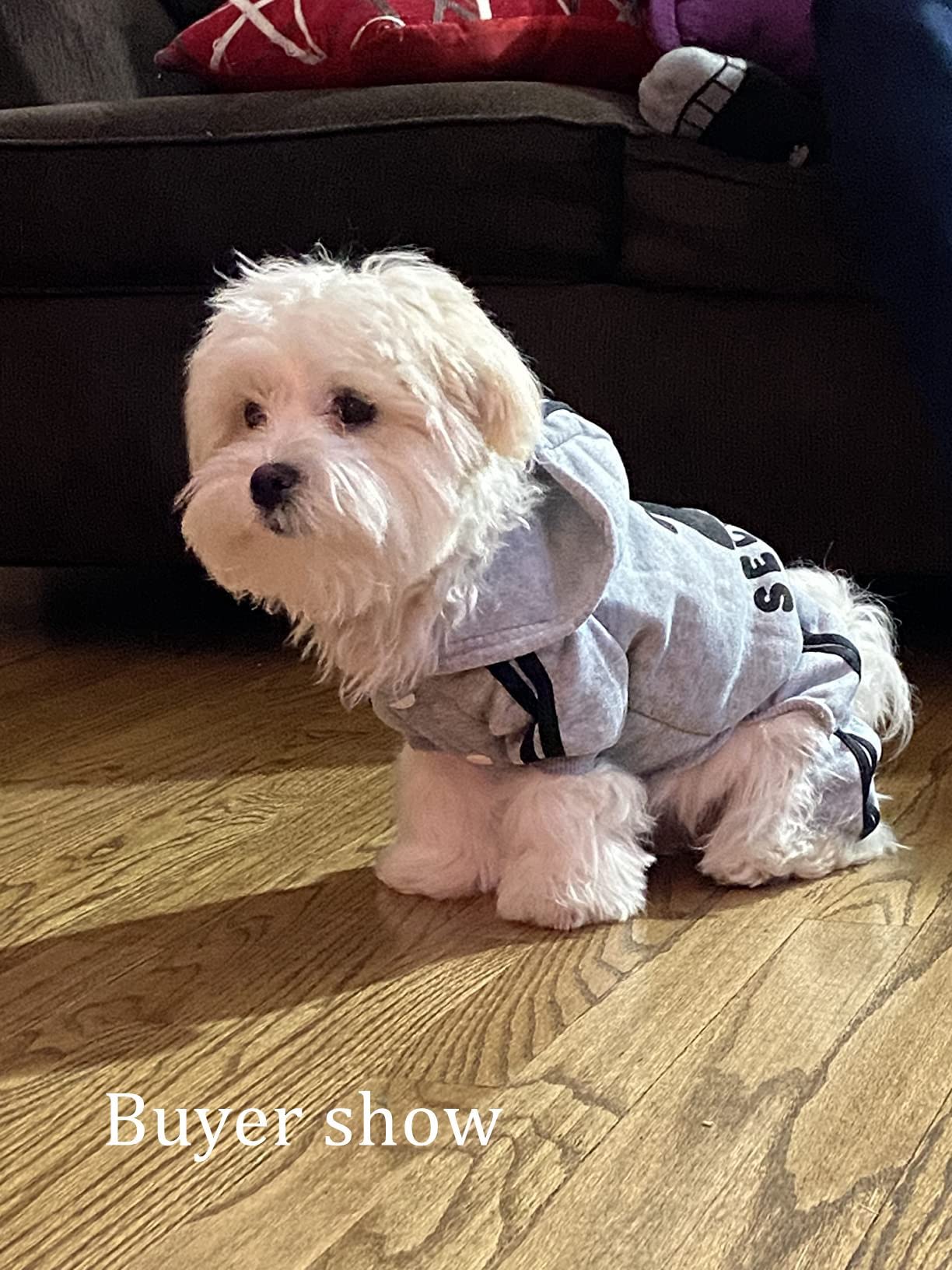 Otunrues Dog Hoodies, Pet Dog Clothes Pullover 4 Legs Jumpsuit Sweatshirt Security Patterns Outfit Doggie Winter Coat Cotton Puppy Hoodied For Small Medium Large Dogs Cats(Gray,M)