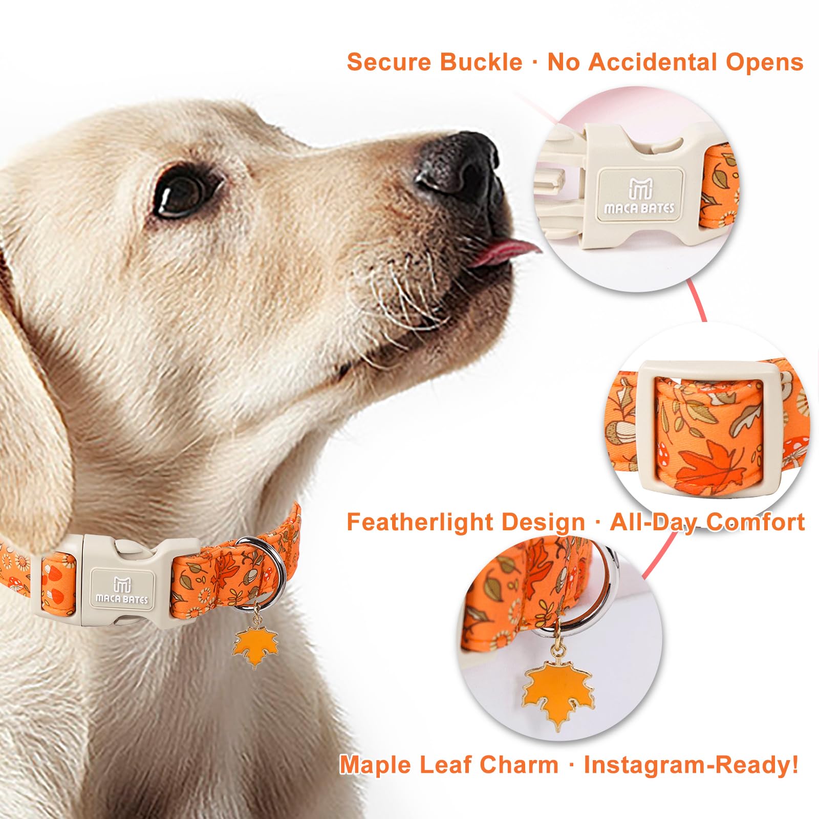 Maca Bates Fall Dog Collar Red Maple Leaf Print Autumn Dogs Collars Durable Comfortable Adjustable Puppy Colar Birthday Gift For