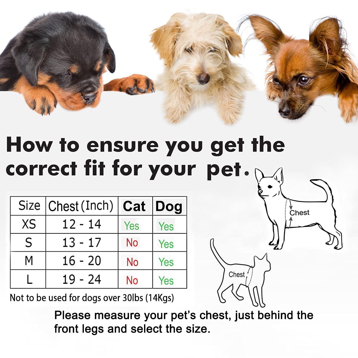 Comfort Fit All Weather Step-In Dog Harness - Adjustable Small Dog Harness Medium Sized Dogs - Soft Padded Easy Walk Dog Vest Harnesses