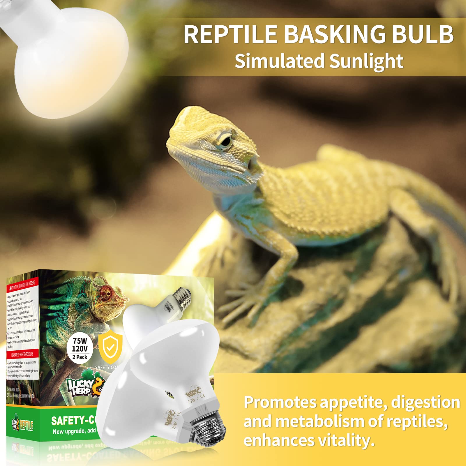 LUCKY HERP New Upgrade 75W Reptile Heat Lamp Bulb (3rd Gen, Safer), Amphibian Basking Spot Light Bulb, UVA Reptile Daylight Bulb