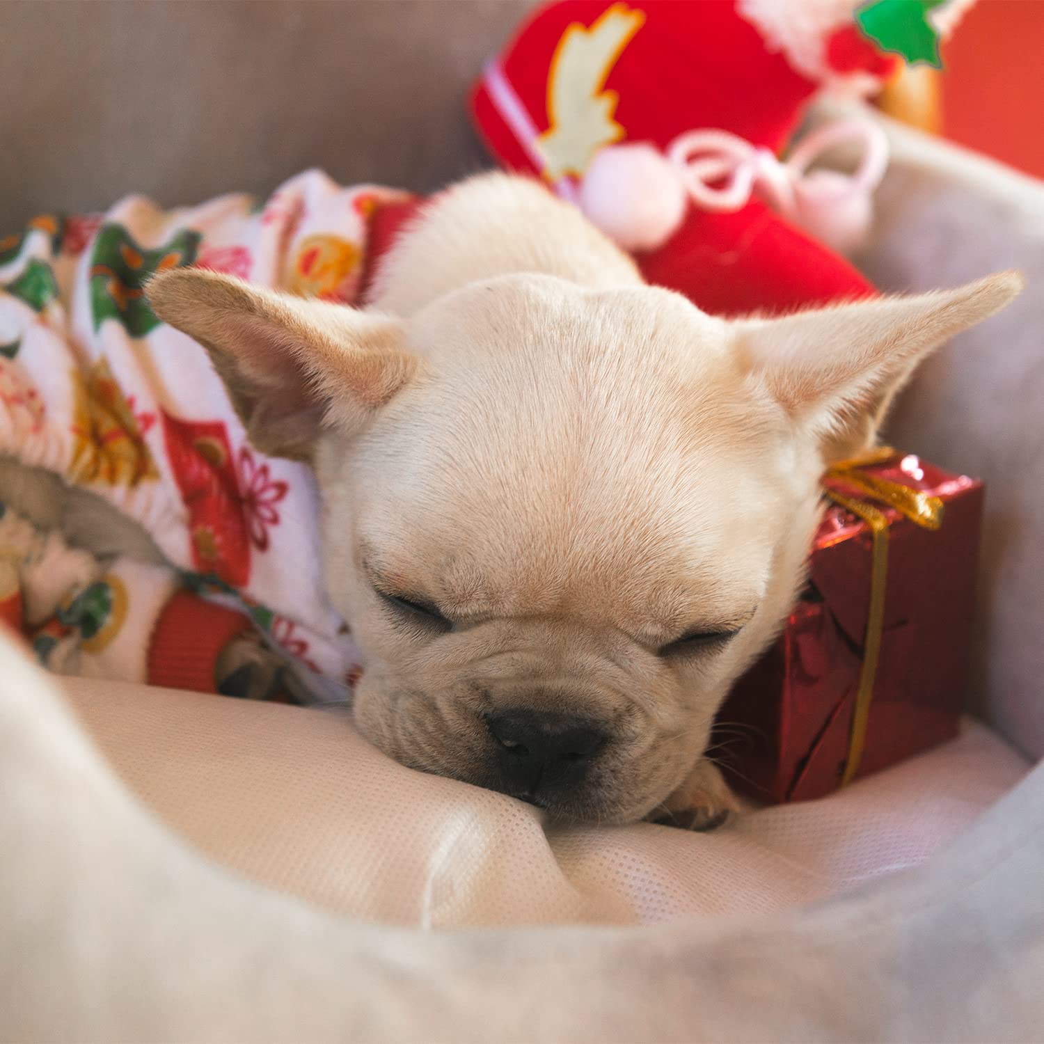 Cutebone Dog Pajamas Christmas Tree Dog Apparel Dog Jumpsuit Pet Clothes Pajamas P17S Small