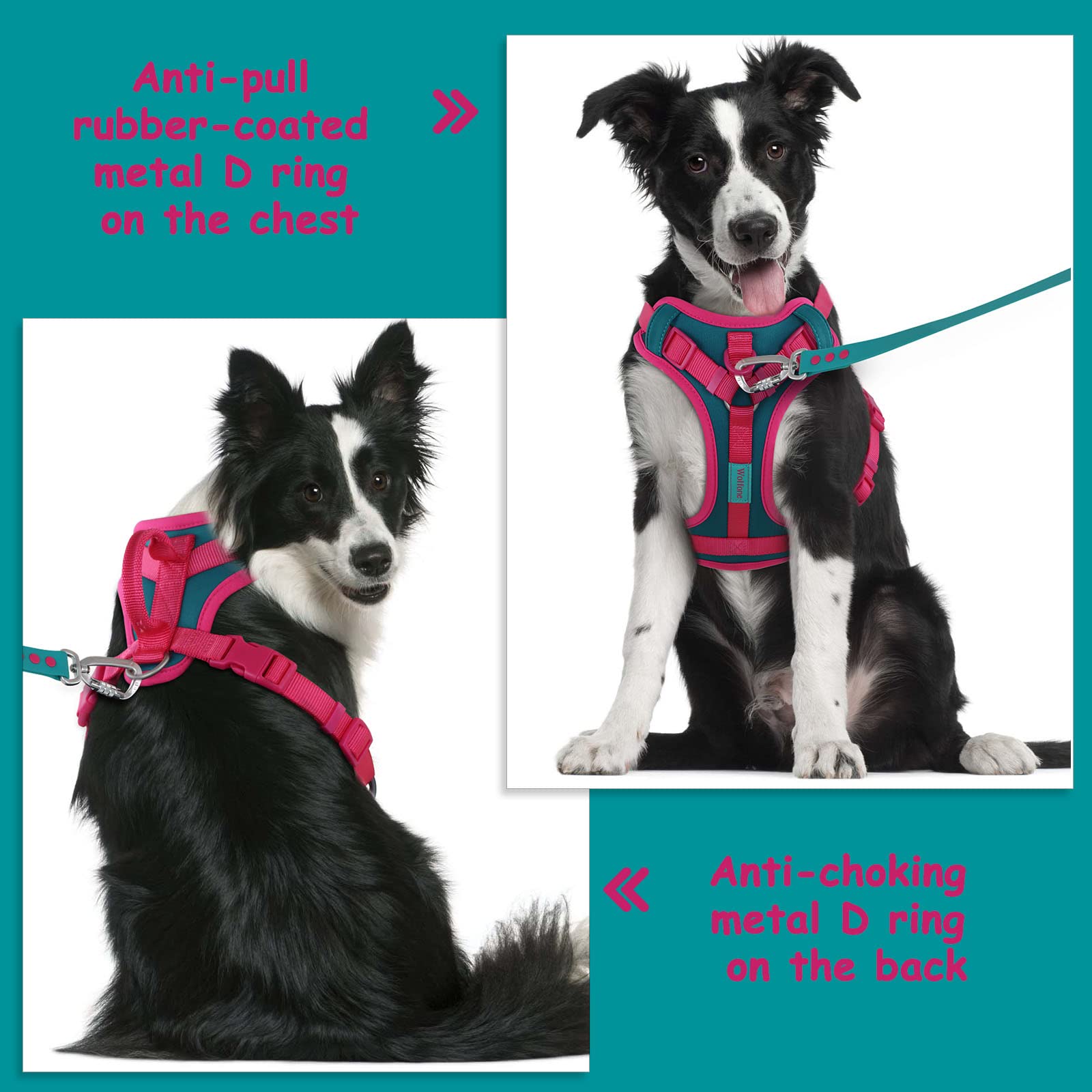 Wolfone No Pull Dog Harness Adjustable Soft Padded Pet Vest With Control Handle Adorable Daily Harness For Dogs(Viridian Green M