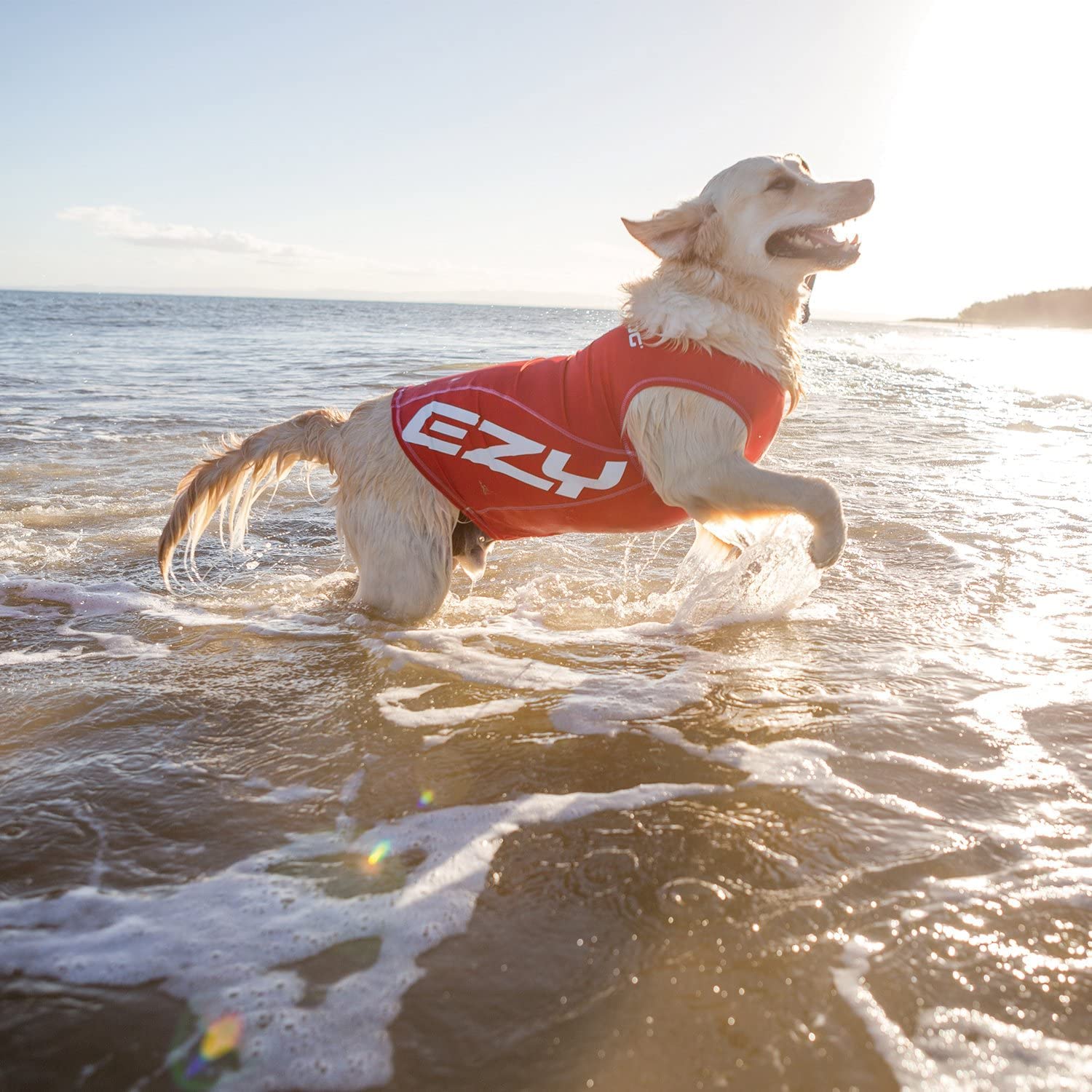 Ezydog Rashguard Vest - Premium Dog Shirt Allowing All-Day Water Use - Tested To Provide 50+ Uv Protection - Innovative Design For A Snug, Comfortable Fit (X-Large, Red)