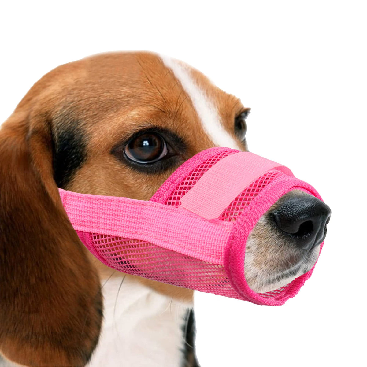 Yaodhaod Nylon Mesh Breathable Dog Mouth Cover, Quick Fit Dog Muzzle With Adjustable Straps，Pet Mouth Cover, To Prevent Biting And Screaming To Prevent Accidental Eating(M, Pink)