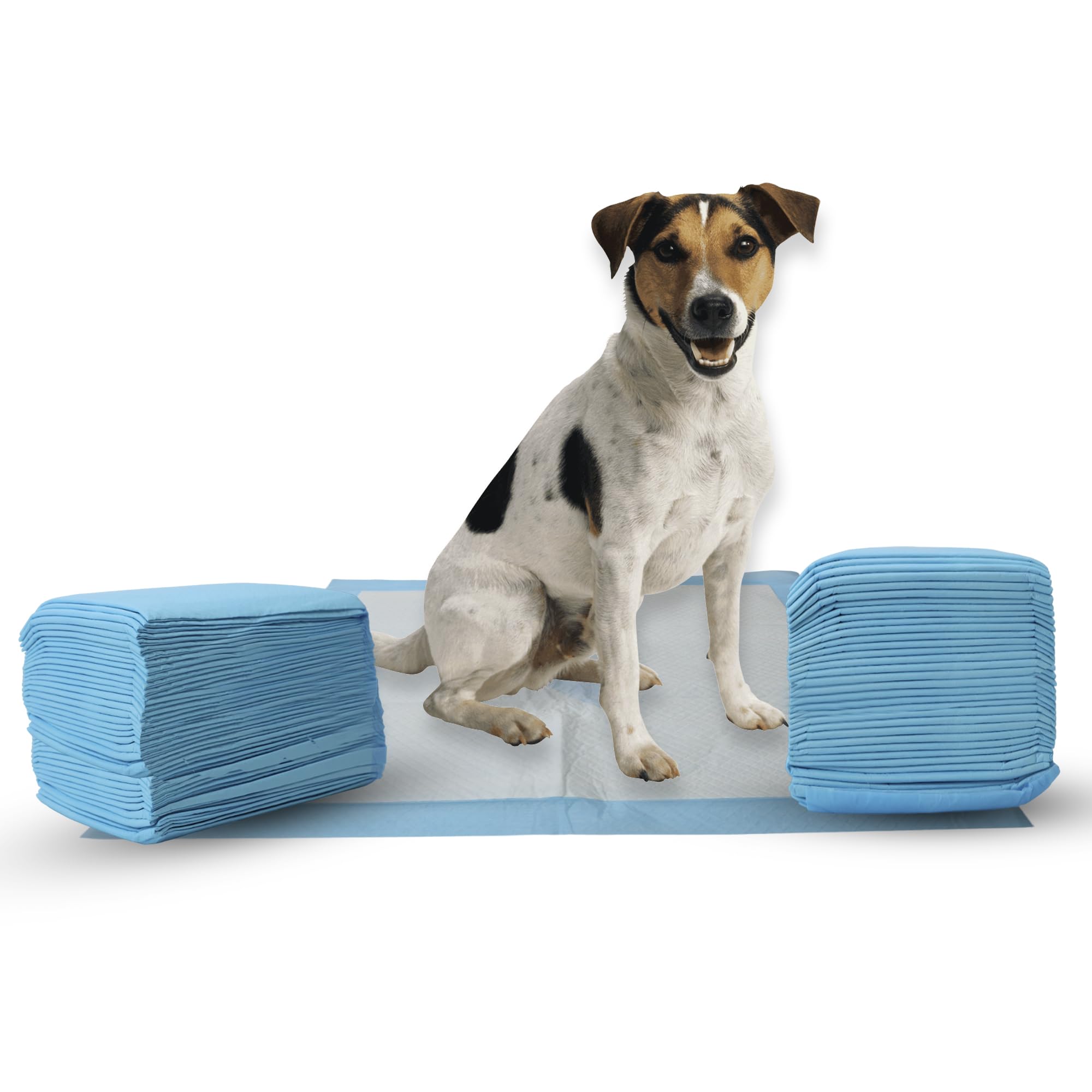 Spot X Marks The Spot Extra Absorbent Pee Pads | Puppy Pads | Puppy Pads With Adhesive | Training Pads | Dog Pads | Dog Pee Pads | Dog Potty Pads | Adhesive Strips | 22'X22' | 100 Ct,White