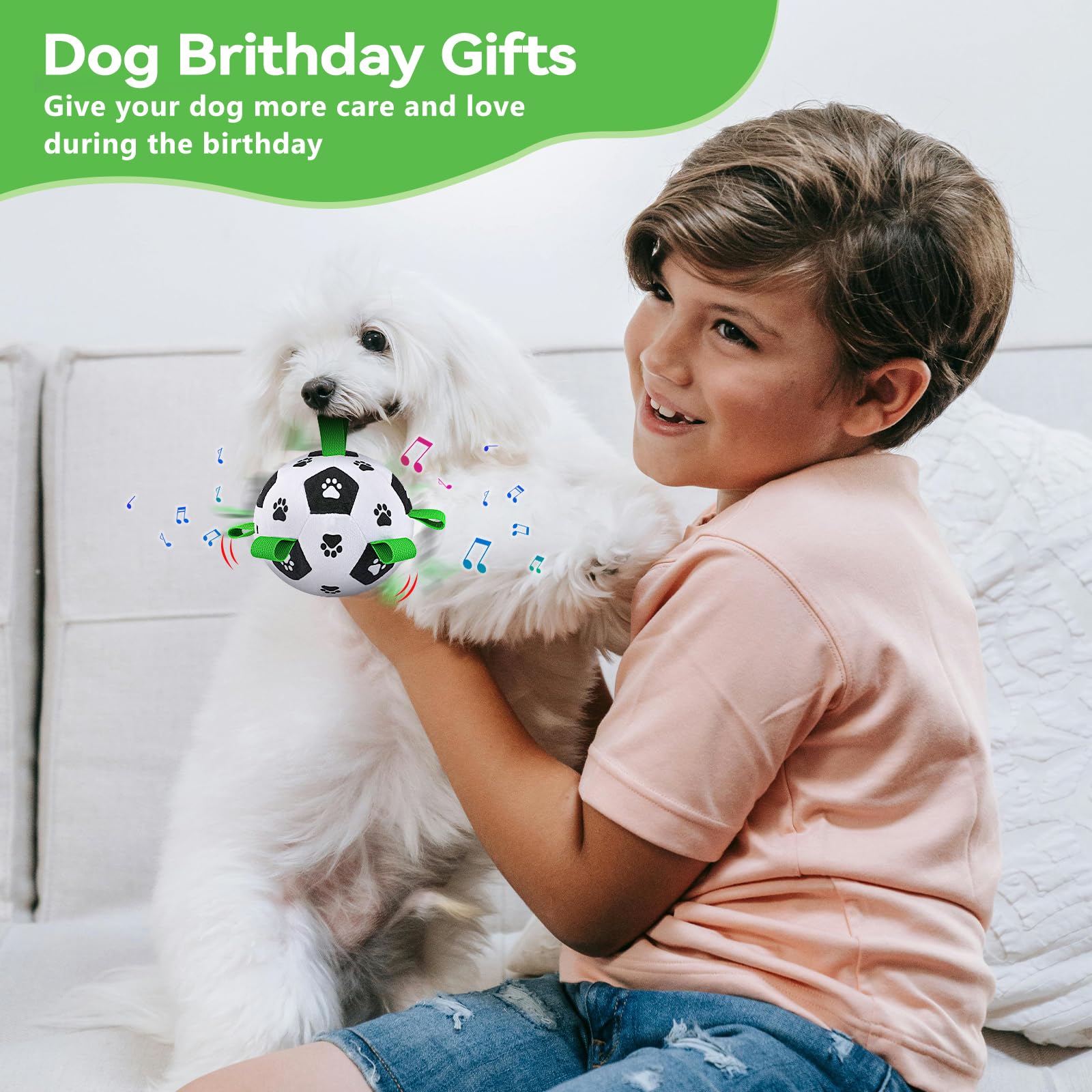 QDAN Interactive Dog Toys Balls: Automatic Rolling Dog Toys to Keep Them Busy, Remote Control, Rechargeable Pet Enrichment Toy f