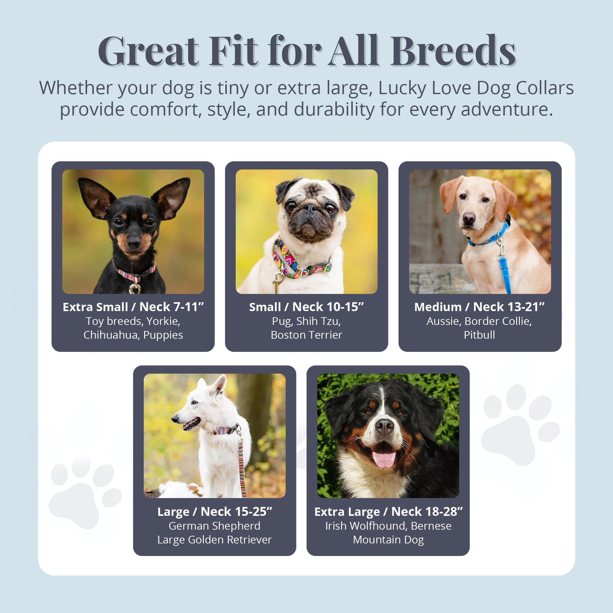 Lucky Love Dog Collars, Vivid Flower Pattern Dog Collars For Medium Female Dogs, Spring & Summer Floral Themed Print, Caroline,