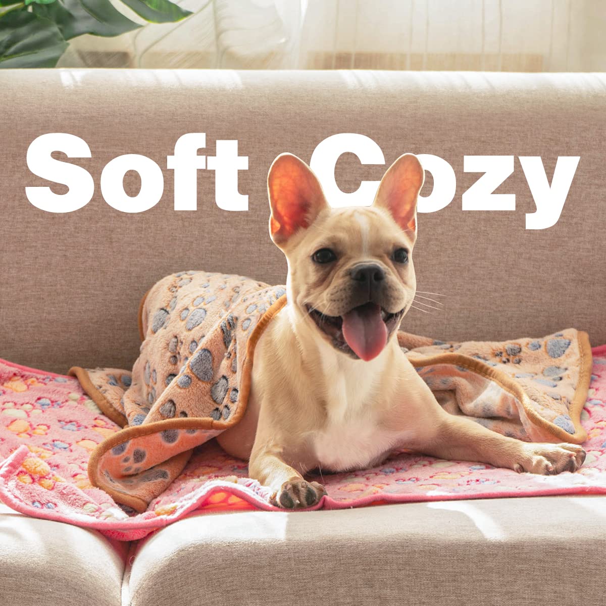 Pet Soft Dog Blankets Medium - Fluffy Cats Dogs Blankets Medium Dogs, Cute Paw Print Pet Throw Puppy Blankets Fleece