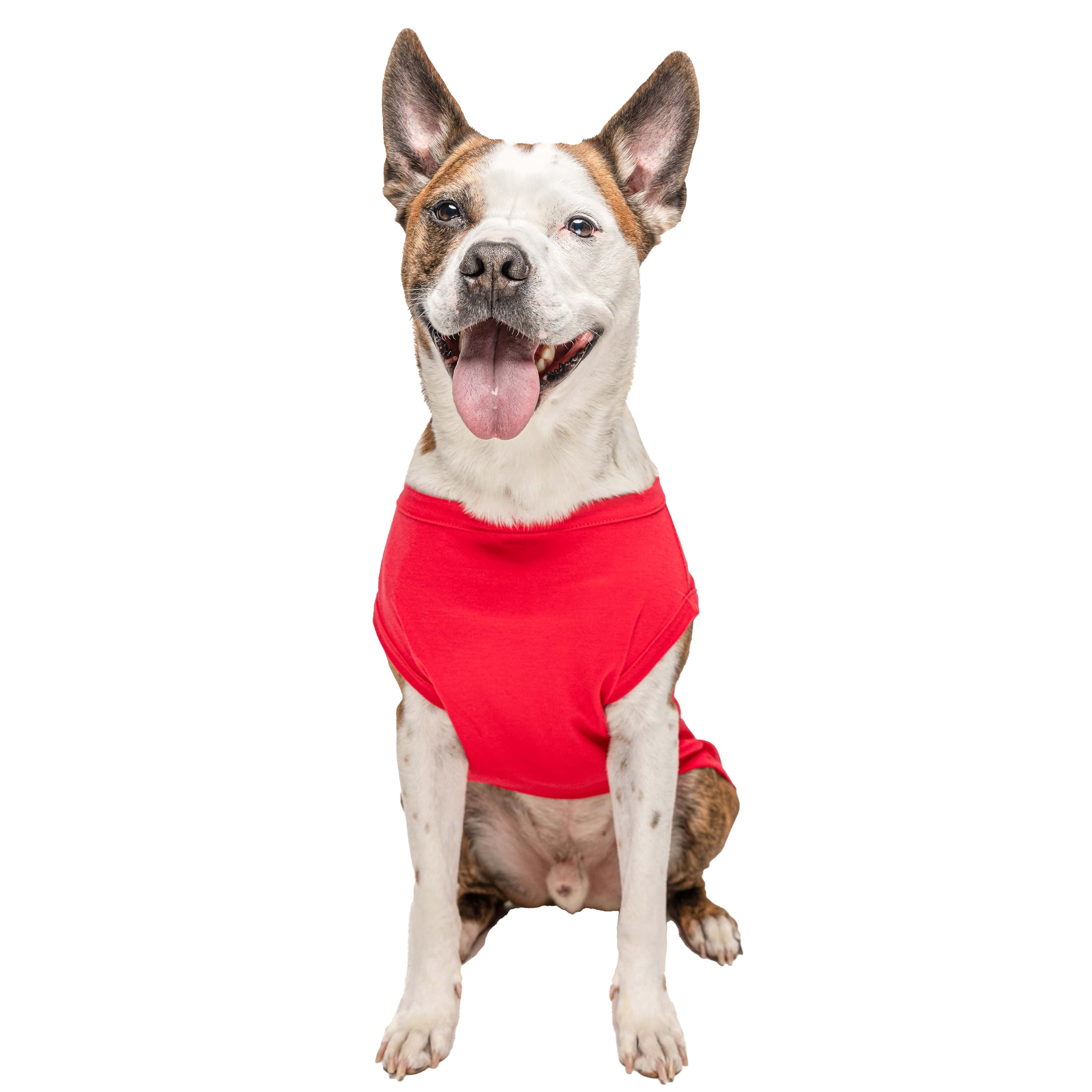 Lifeguard Dog Tee Shirt Sizes For Puppies, Toys, And Large Breeds (53 Red 6X-Large)
