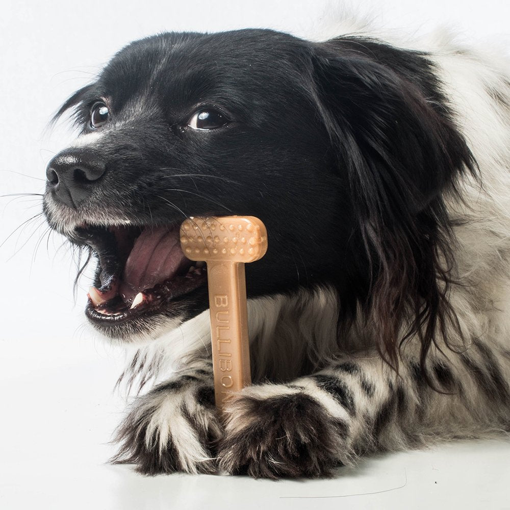 Bullibone Nylon Dog Chew Toy For Aggressive Chewers - Dental Hygiene Bone With Peanut Butter Flavor, Durable Tough Chew Toys For