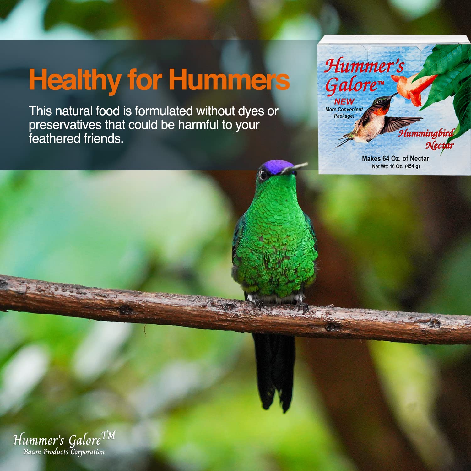 Hummers Galore Hummingbird Food - Ready-to-Mix Hummingbird Nectar, All-Natural Nectar Collector Formula, No Preservatives or Dy