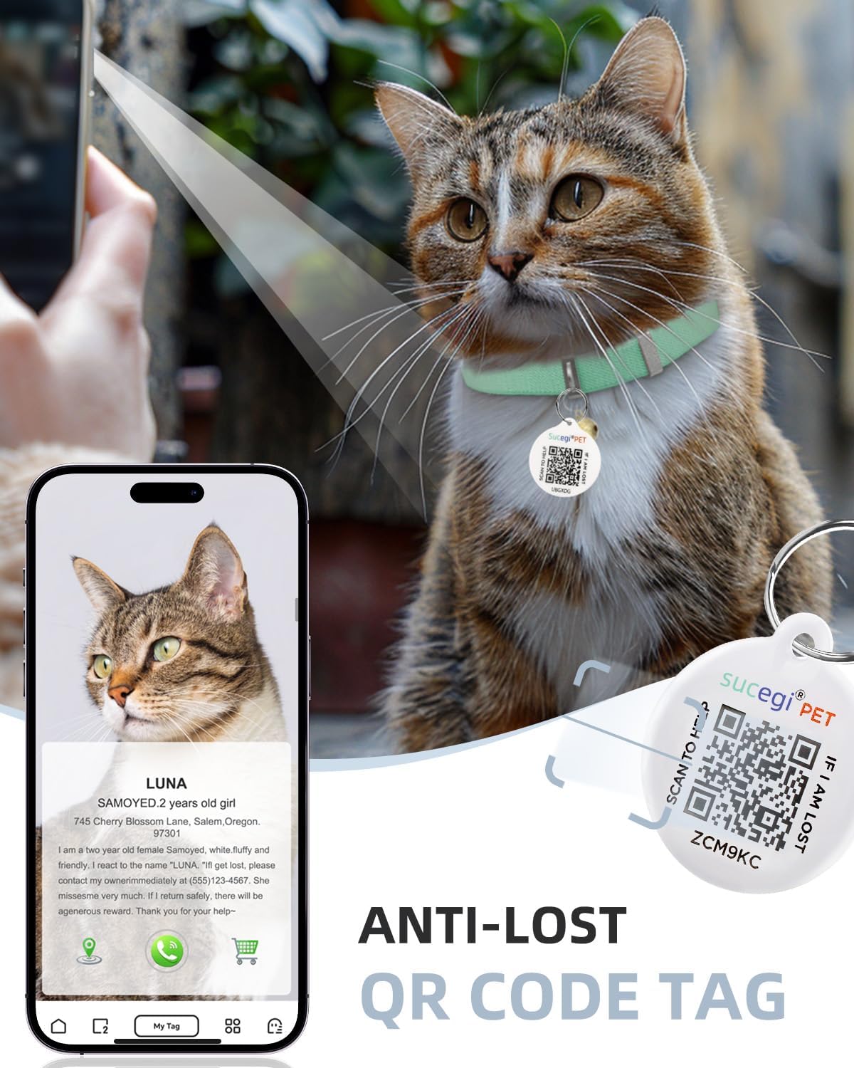 Cat Collar With Bell For Girl & Boy Cats - Non Breakaway Stretch Elastic Quick Release, Lightweight Kitten Collar, Adjustable &