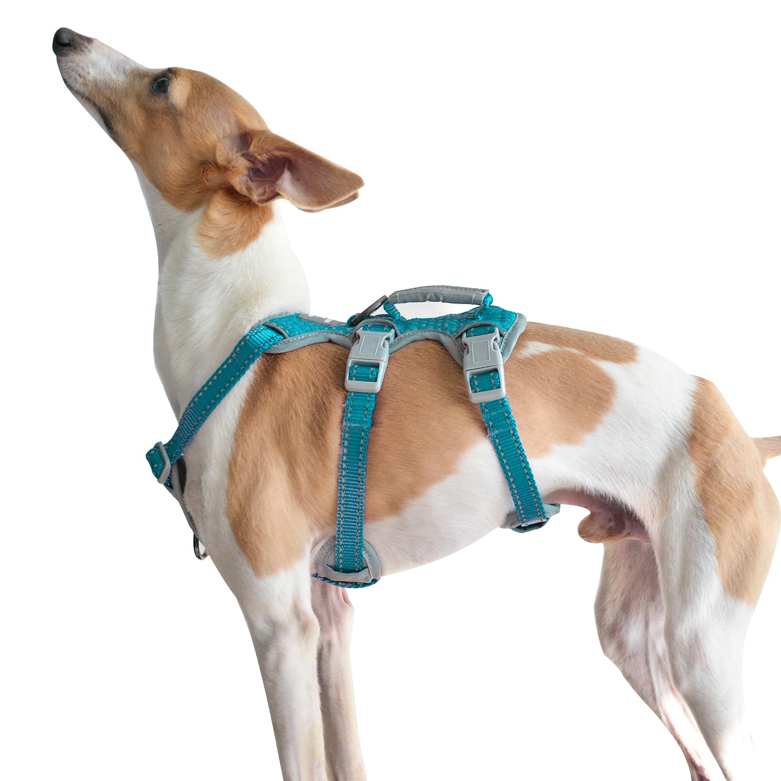 Huntboo Escape Proof Dog Harness, Escape Artist Harness, Fully Reflective Harness With Padded Handle, Breathable,Durable, Adjust