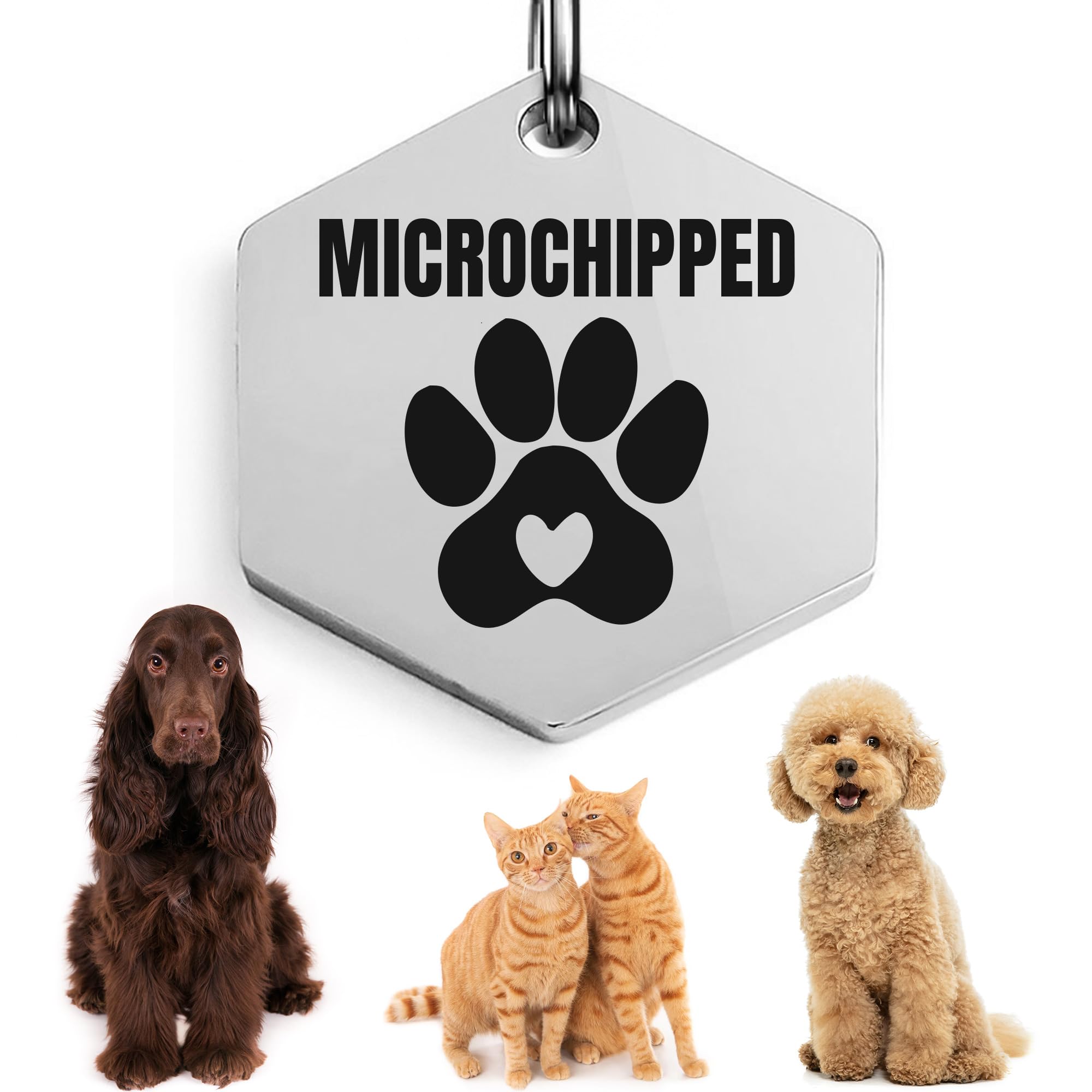 Universal Pet Tag Microchipped Pet Notation Fits All Collar Types Tag Chip Tag For Pets Dog Collar Gift Chip Id (Hexagonal_Chrom