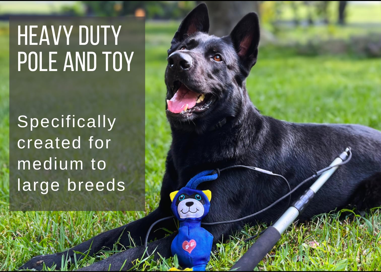 LUCOLOVE Flirt Pole for Dogs Heavy Duty - Multi-Sensory Tough Chase Toy for Medium & Large Breeds - Extra Strong 39 Dog Teaser W