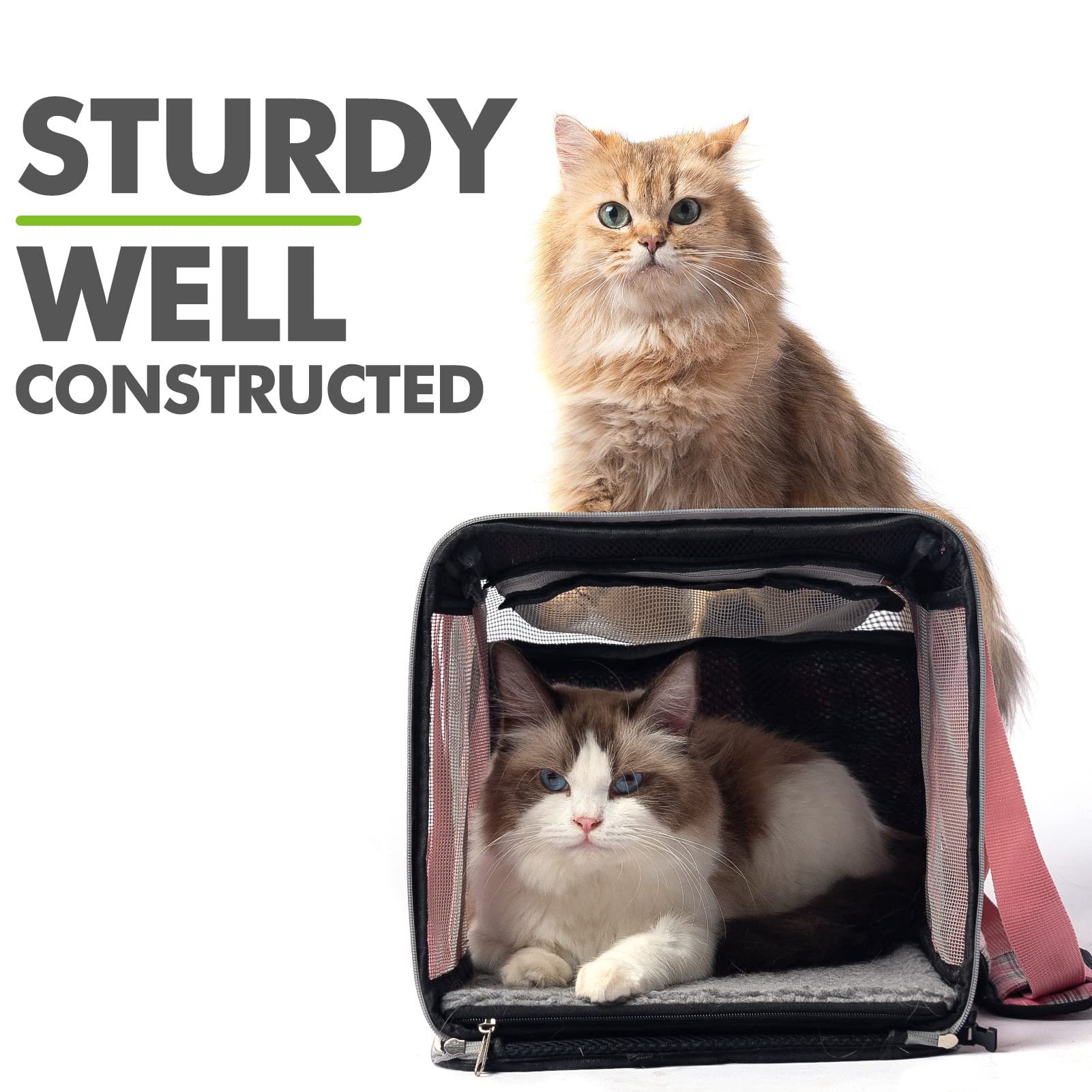 Expawlorer Cat Carrier Large, Soft-Sided Pet Carrier For Cat,Top Load Cat Travel Carriers For Medium Cats Under 25, Airline Approved Pet Bag Carriers Fit 2 Kitties Small Dogs