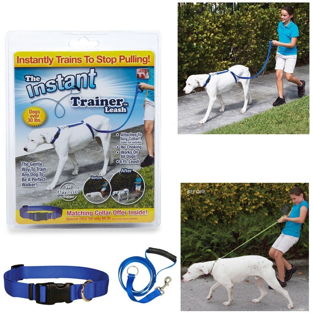 Instant Trainer The Dog Leash