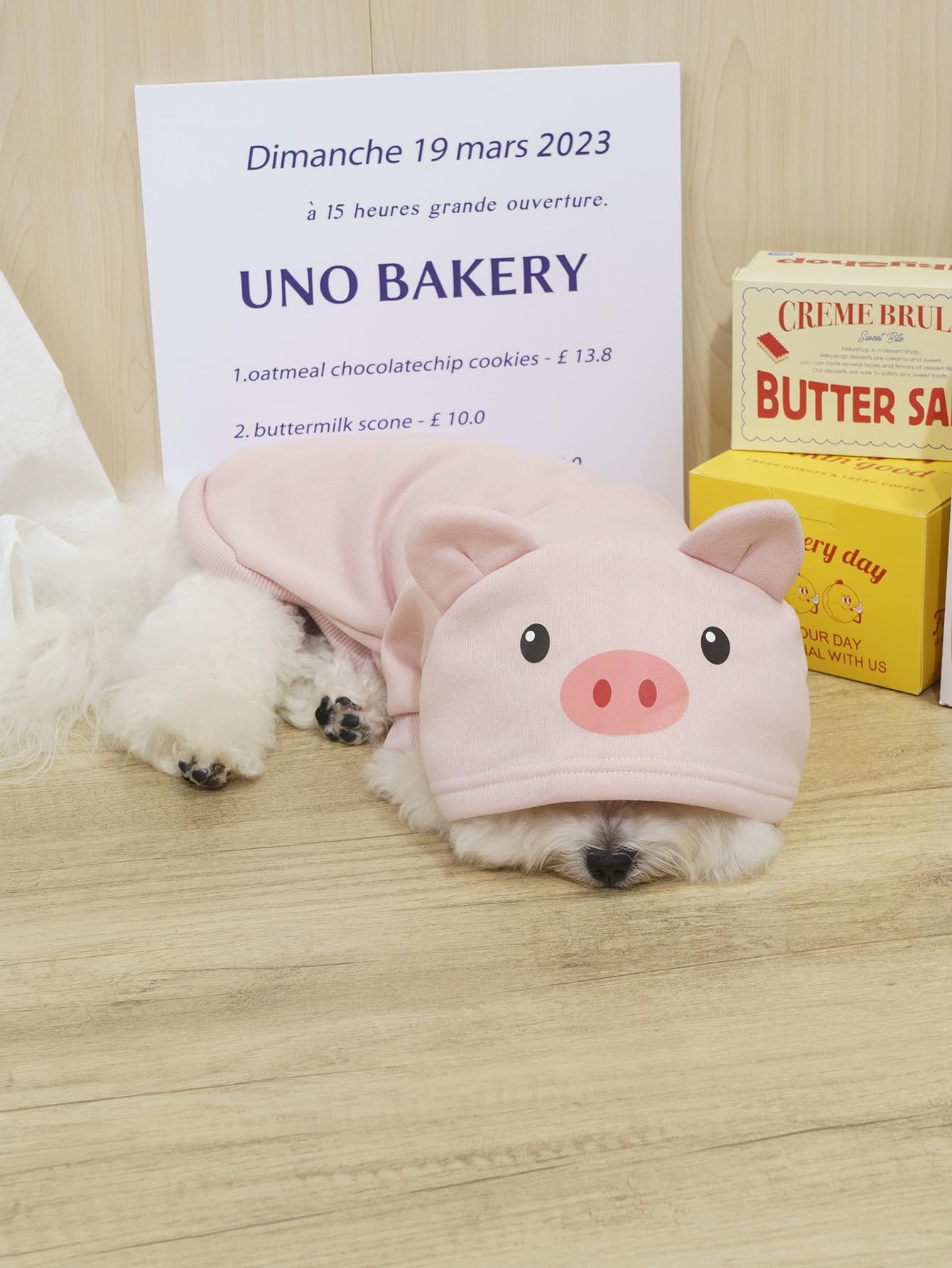 Qwinee Pig Dog Hoodie Dog Warm Jacket Coat Puppy Sweatshirt Christmas Halloween Dog Costume Cosplay Winter Dog Clothes Pet Apparel For Small Medium Dogs Cats Kitten Light Pink Xl