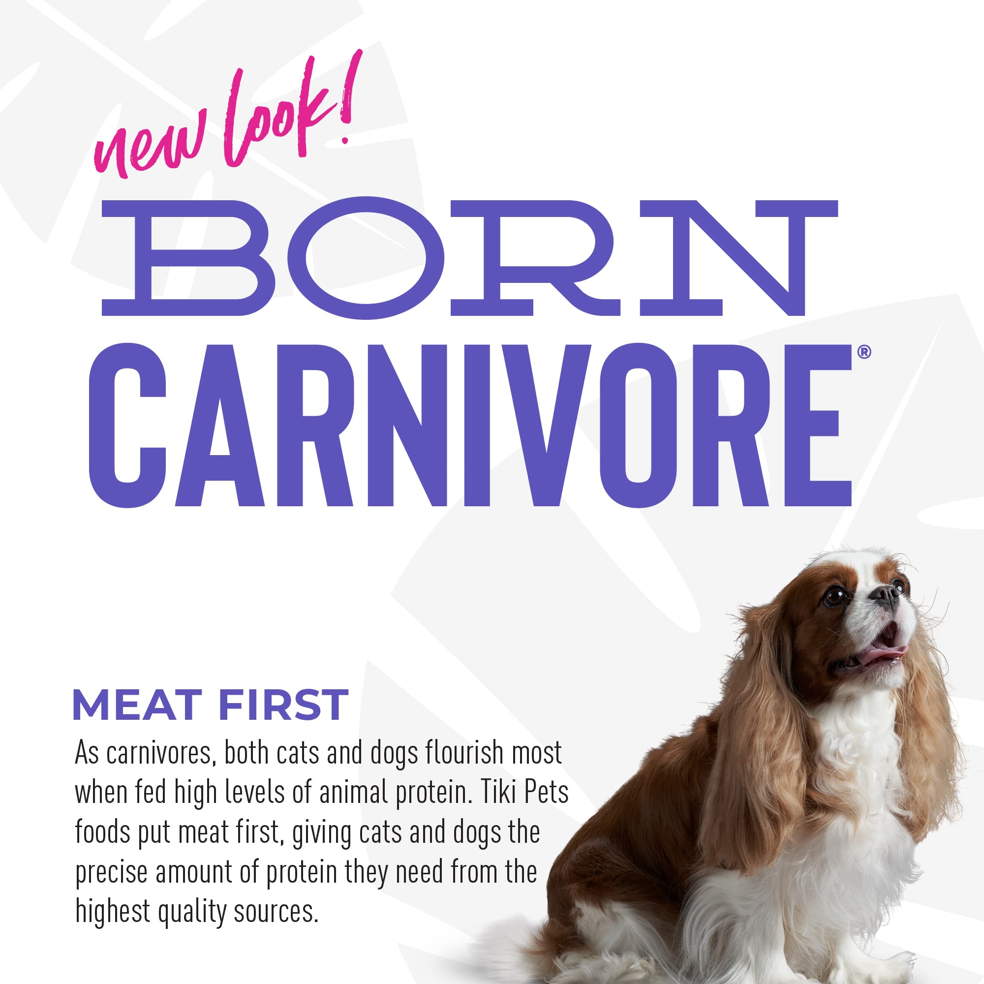 Tiki Dog Born Carnivore for Dogs, Savory Chicken, Peas & Lentils Recipe, Grain Free Baked Kibble for Maximum Nutrition, For Adul