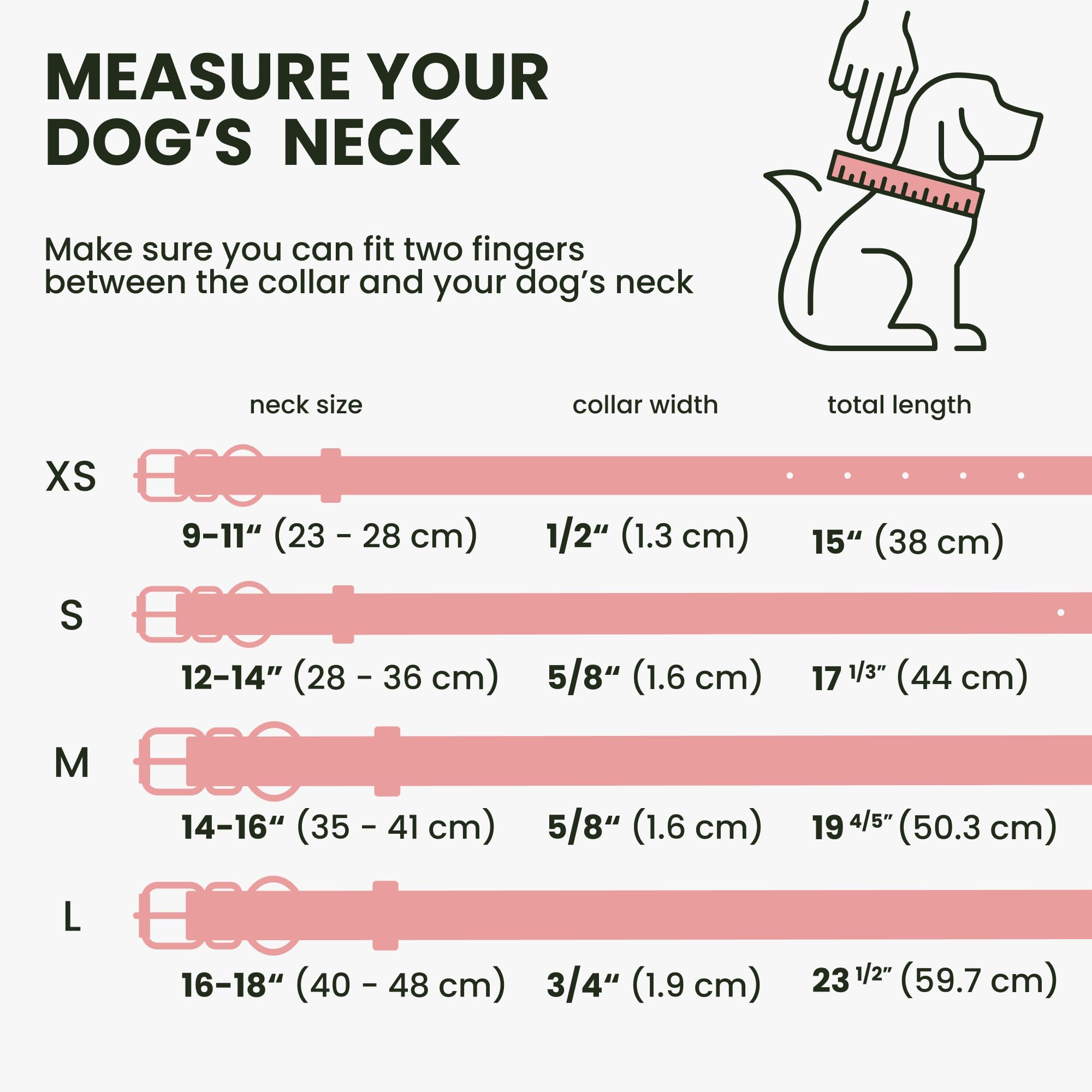 Bronzedog Rolled Leather Dog Collar For Small Medium Large Dogs With Qr Id Tag (M: 14-16 Inch, Powder Pink)