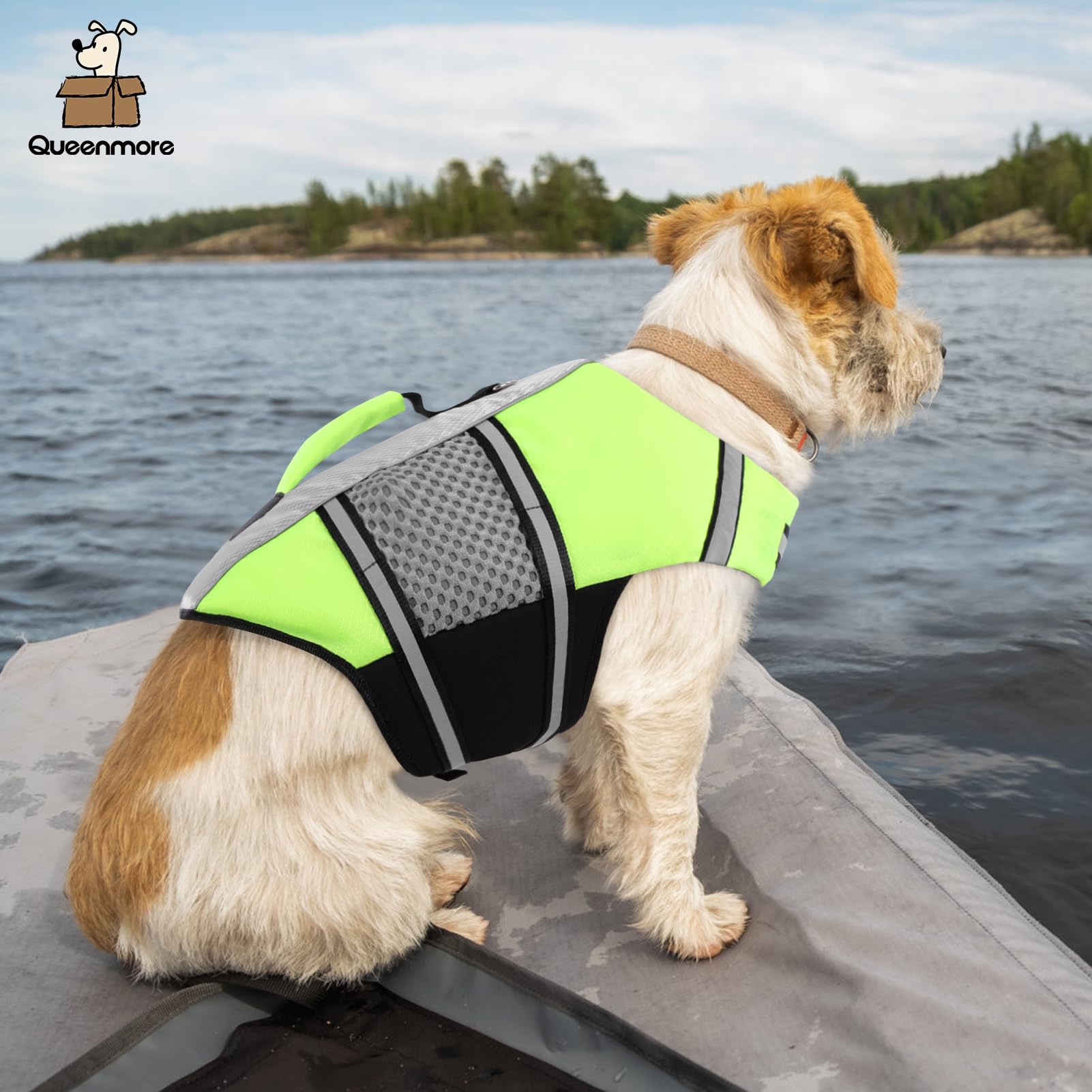 Queenmore Dog Life Jacket Small Float Vests For Swimming Boating Kayaking Mediumn Puppy Dogs Cats Neoprene Life Preserver Pet Wa
