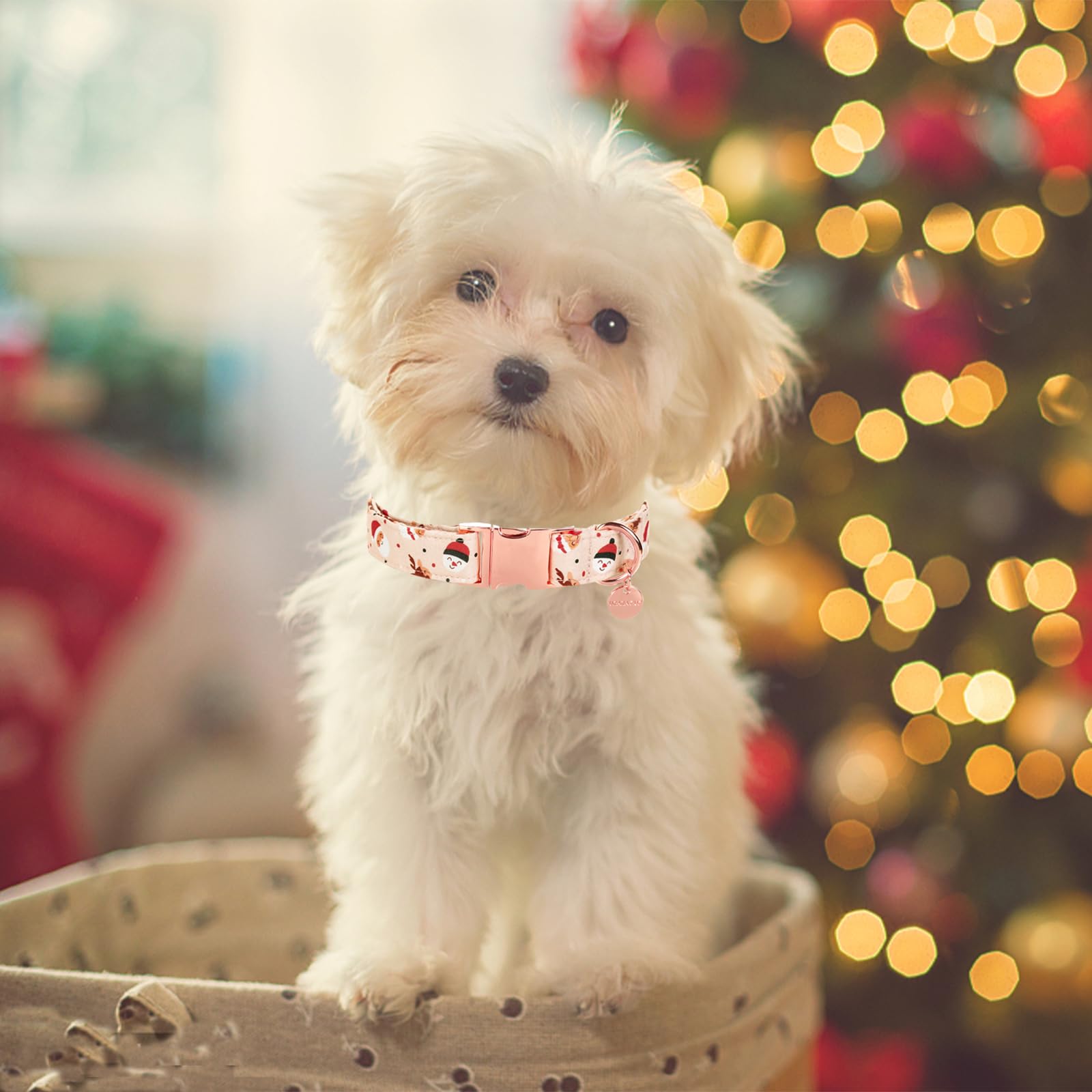 Up Urara Pup Christmas Dog Collar, Cotton Collar For Puppy Girl Boy Dog Or Cat, Comfortable Dog Collar With Durable Metal Buckle