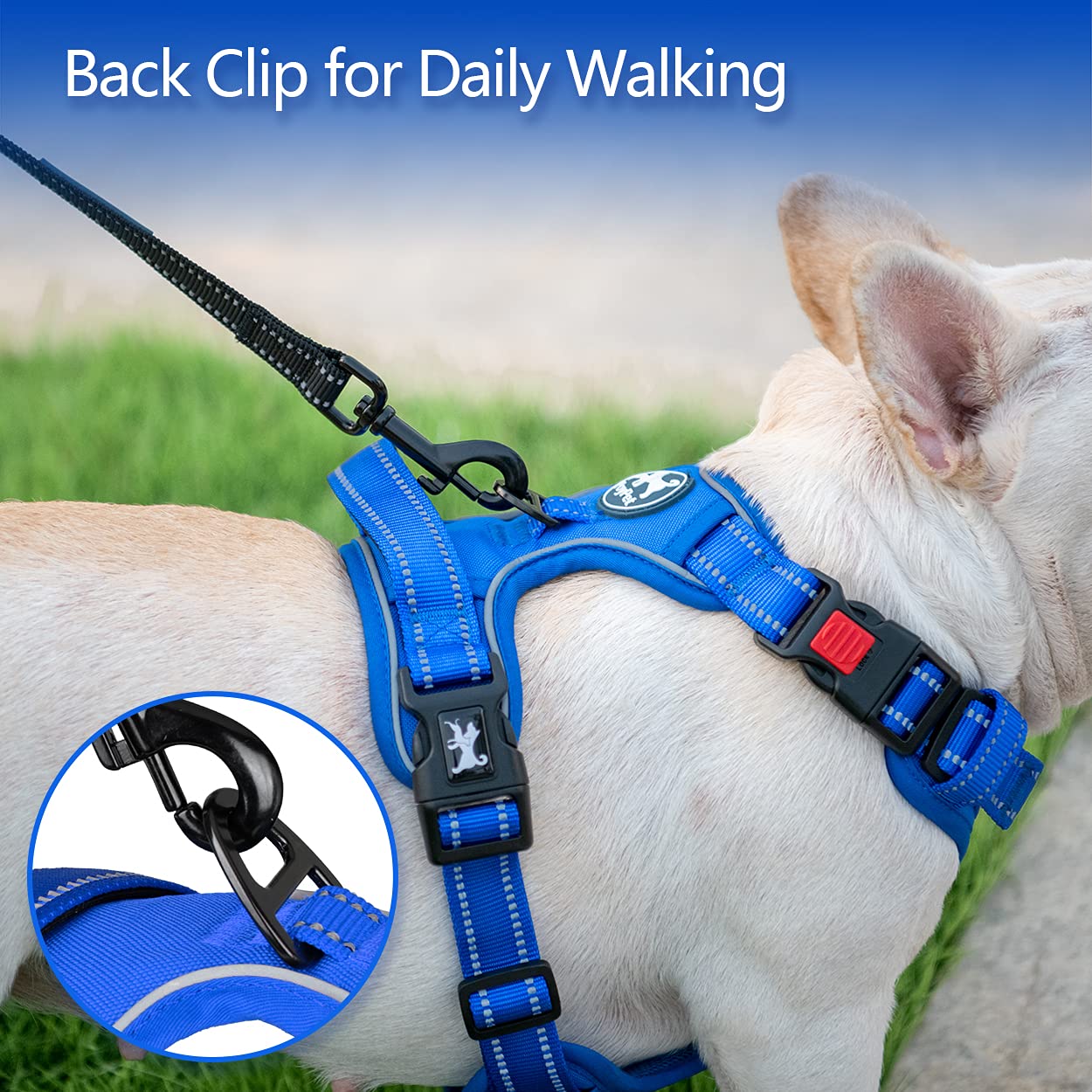 Poypet No Pull Dog Harness, No Choke Reflective Dog Vest, Adjustable Pet Harnesses With Easy Control Padded Handle For Small Medium Large Dogs(Royal Blue,M)