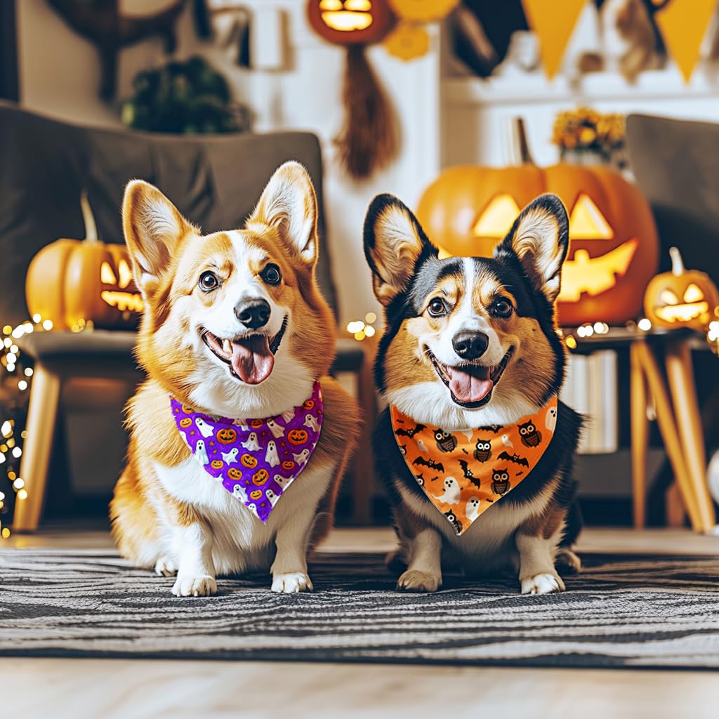 Raisingwell Halloween Dog Bandanas 2 Pack 4 Pattern Ghost Spider Pumpkincandle Bibs Reversible Washable Durable Fall Scarf Suita