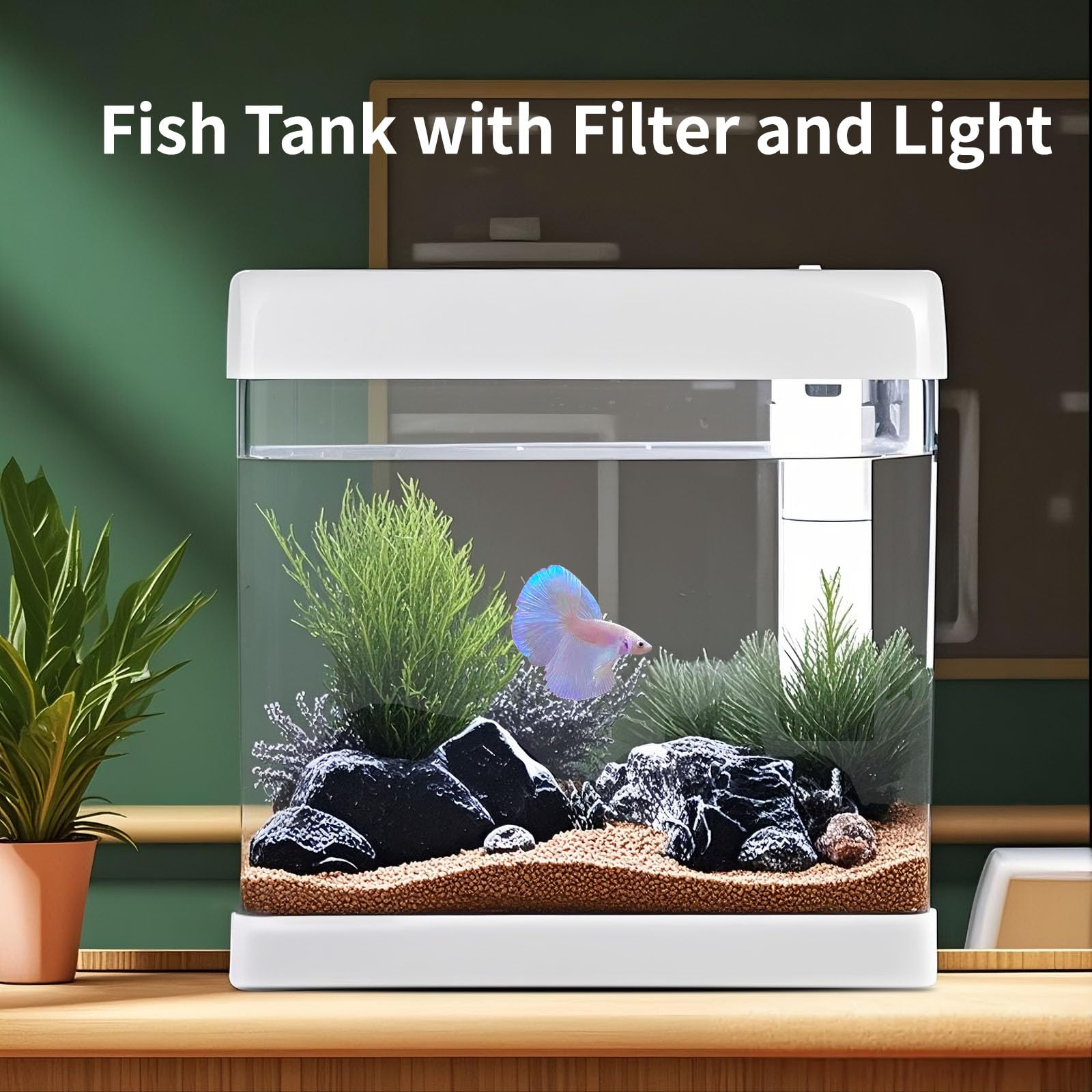 5 Gallon Glass Small Fish Tank,Betta Fish Tank With Filter And Light,White Aquarium Starter Kit.