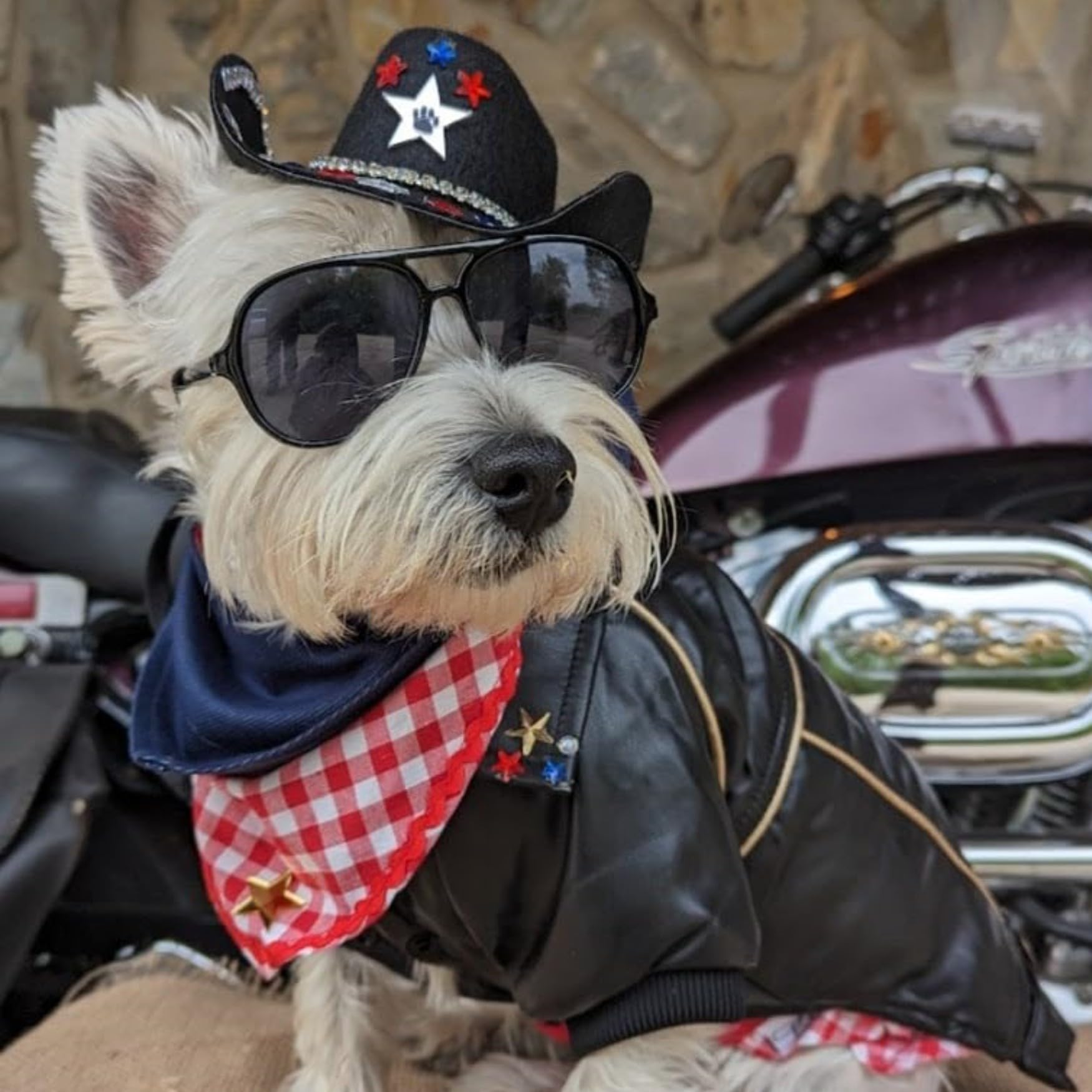 Niula Dog Winter Coat Pu Leather Motorcycle Jacket For Dog Pet Clothes Leather Jacket, Waterproof(3Xl)